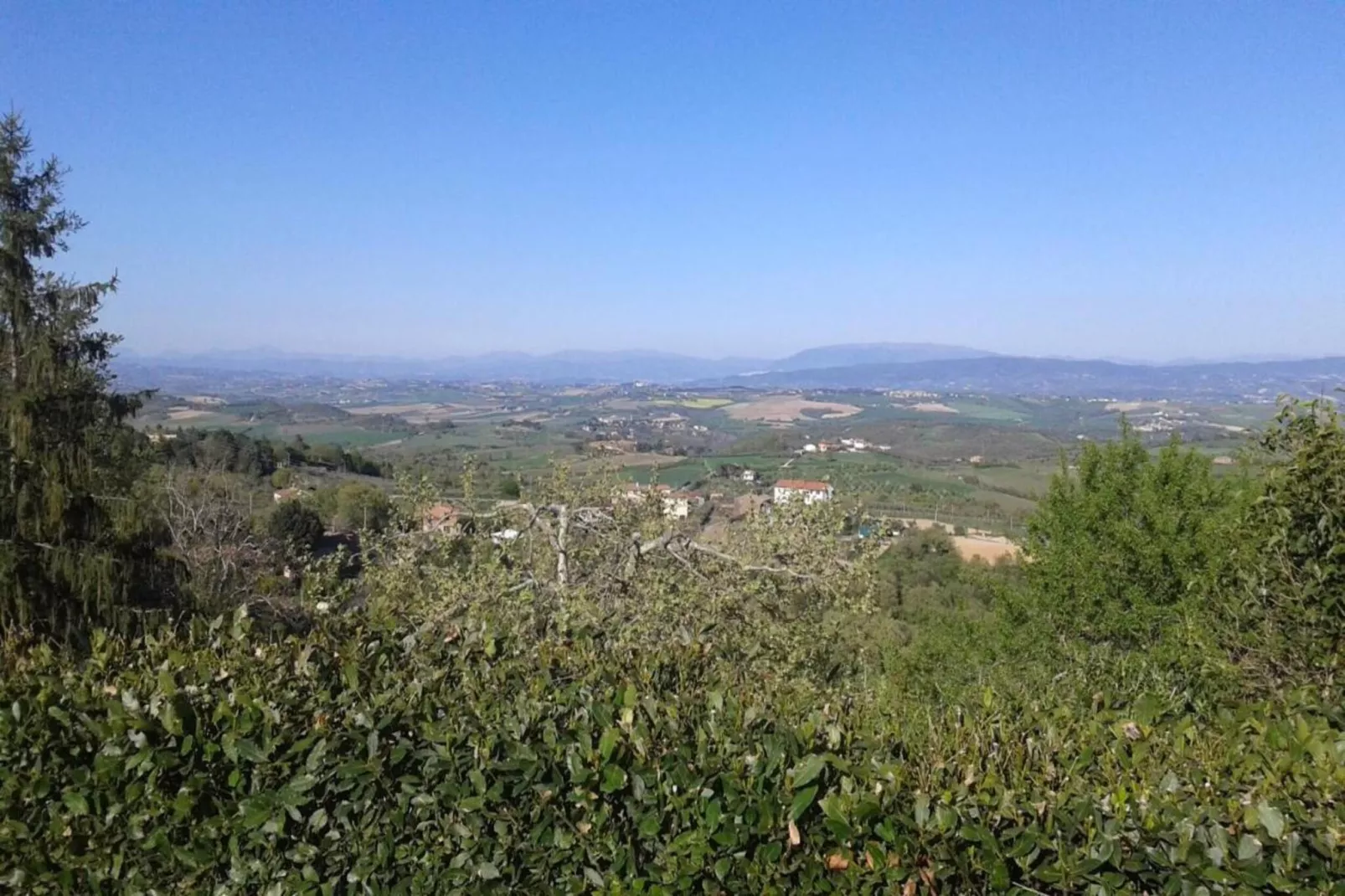 Salvia-Areas within 5km in summer