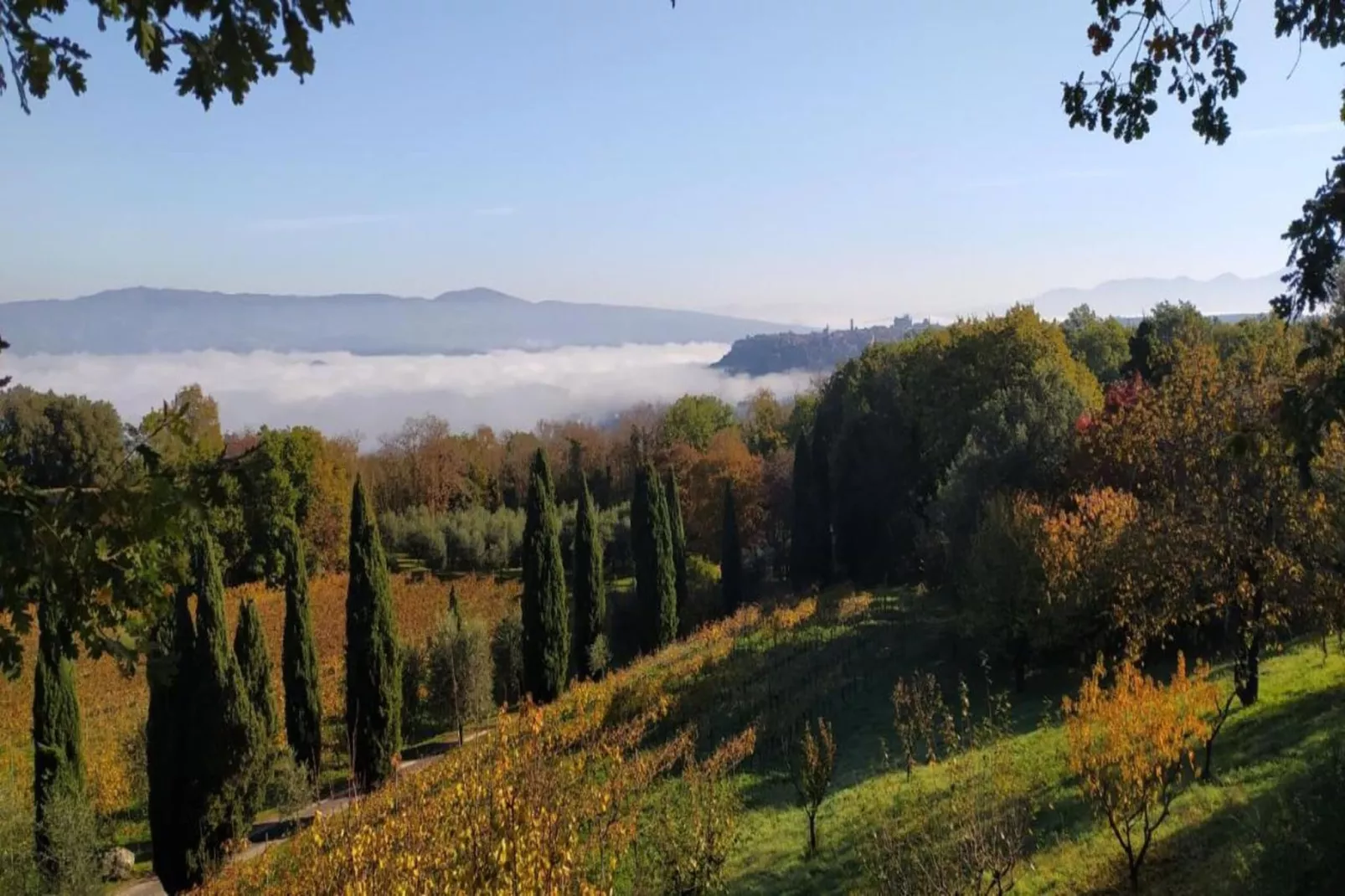 Appartamento 4 persone-Areas within 20km in summer
