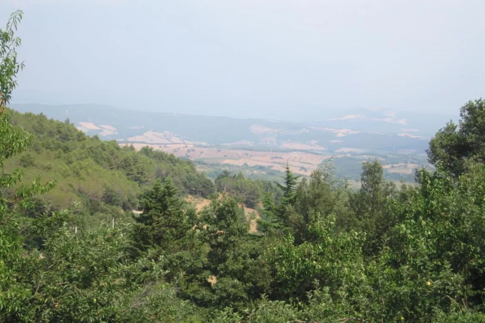 Casa Oleandri-Areas within 5km in summer