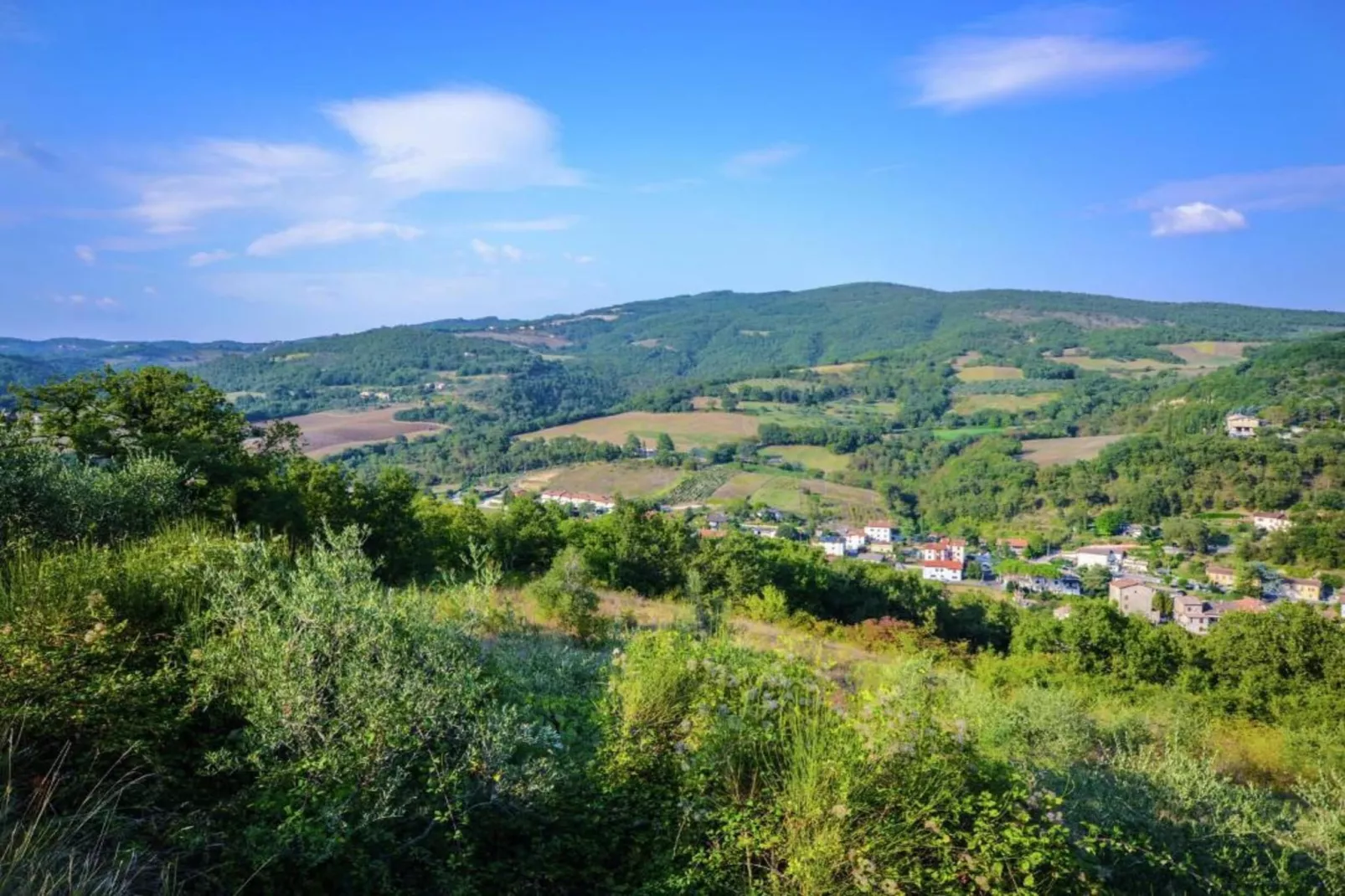 Belvedere-Areas within 5km in summer