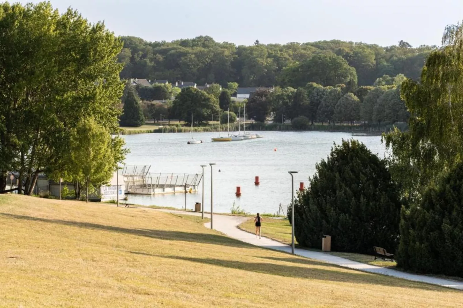 Priore-Areas within 20km in summer