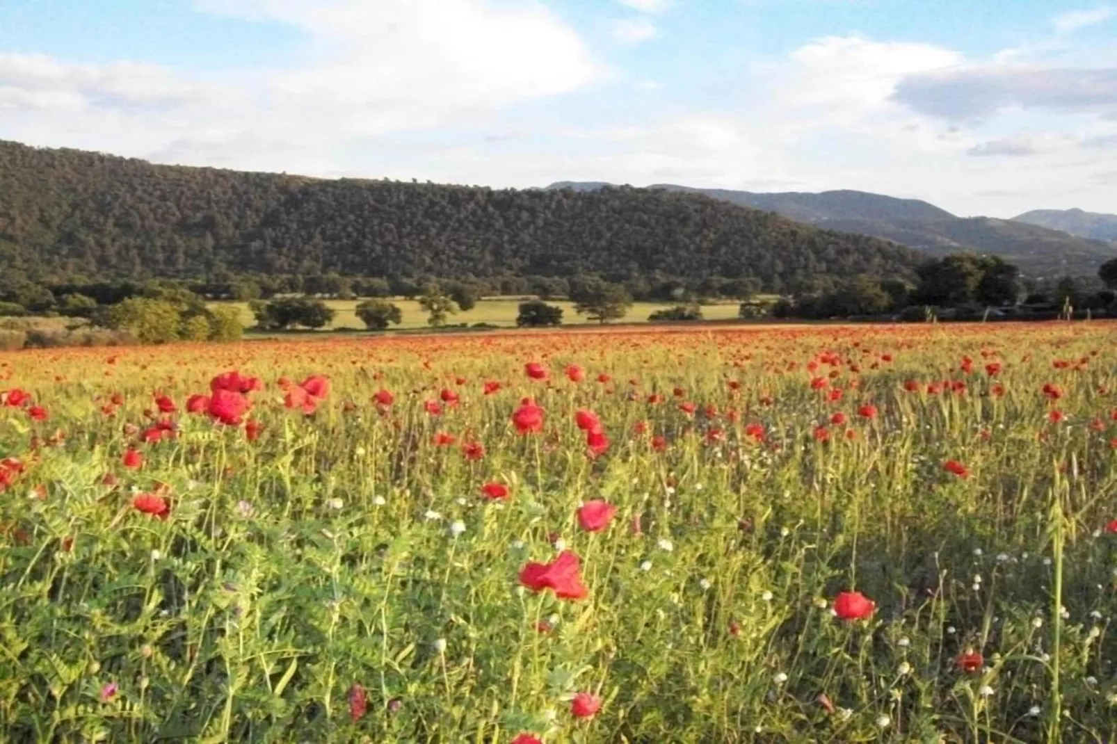 Colombaia-Areas within 20km in summer