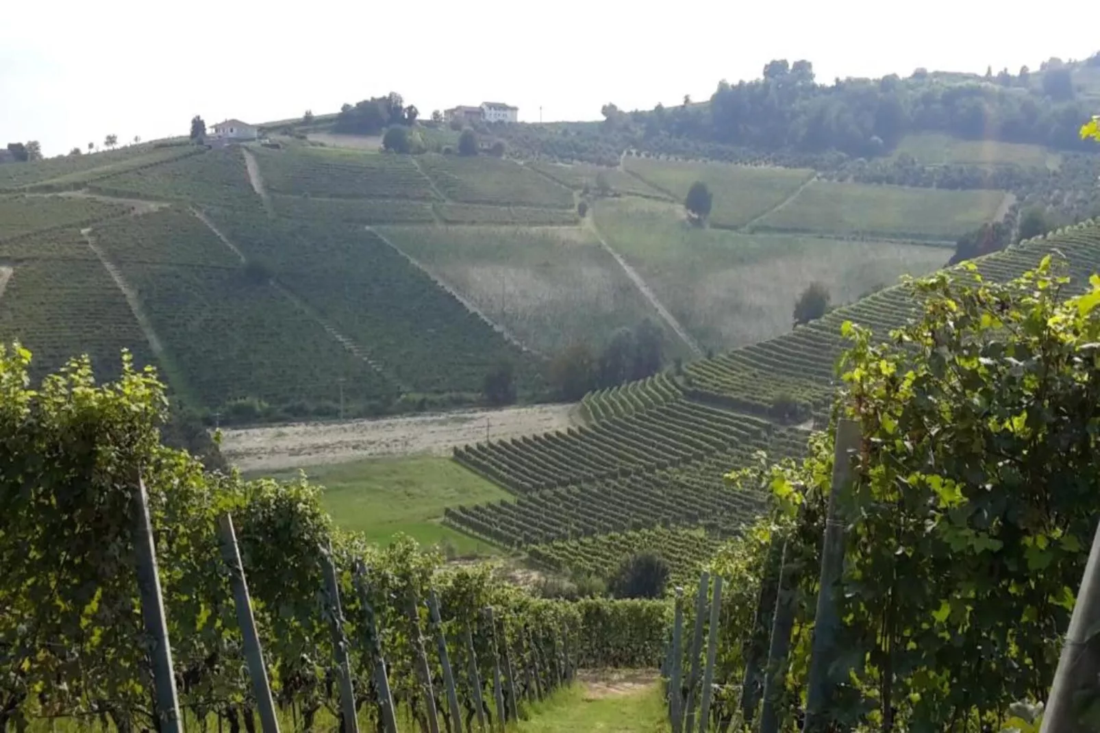 Mondovì-Zones été à 20 km
