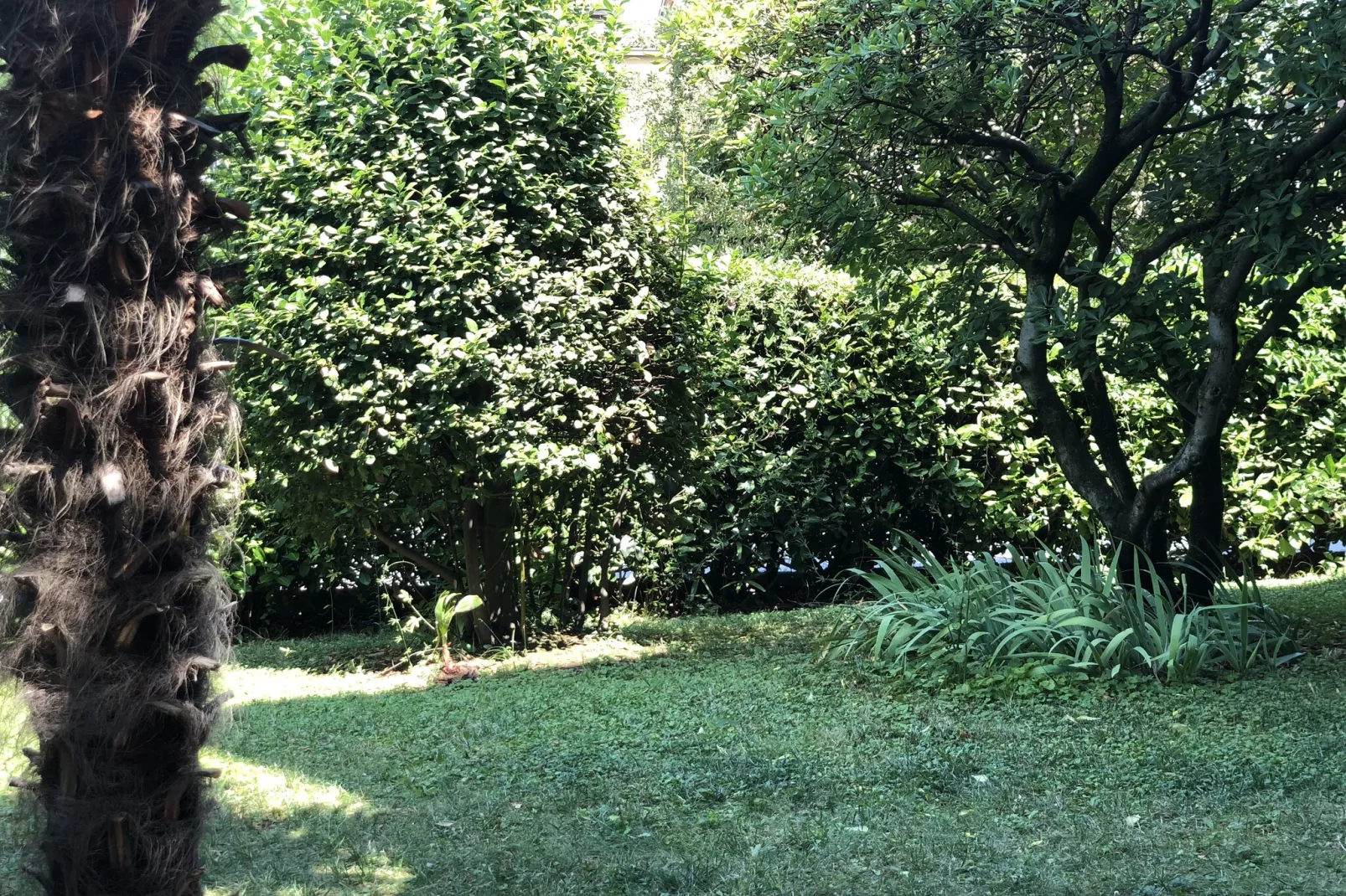 Jolly Bilo Inferiore-Jardins en été