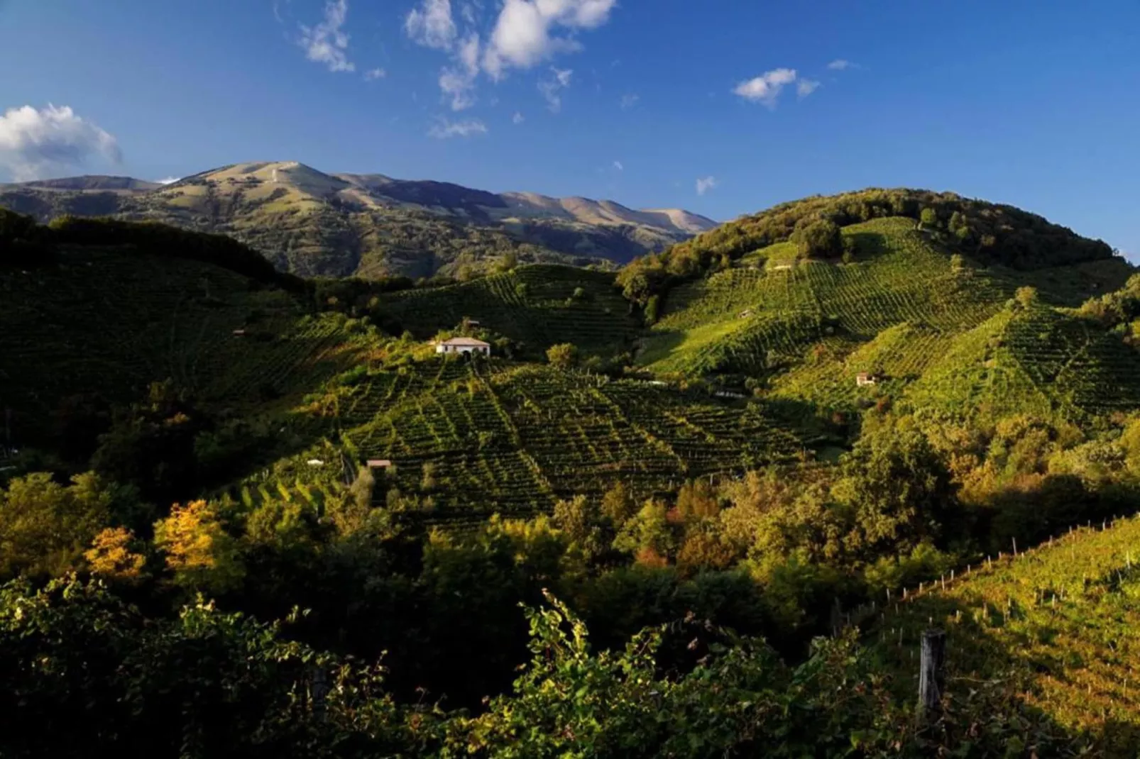 Tonino-Areas within 20km in summer
