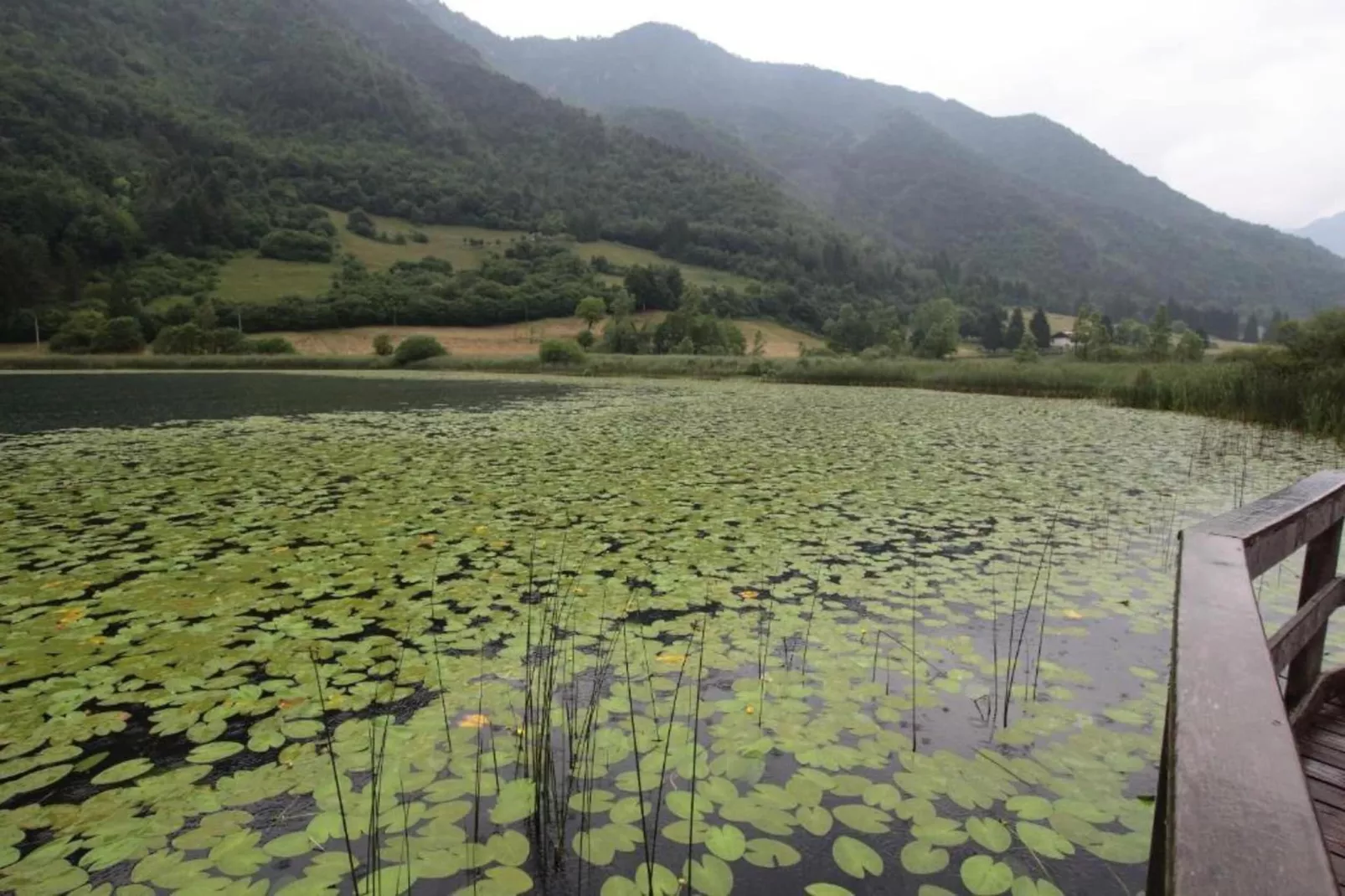 Dromae-Areas within 1km in summer