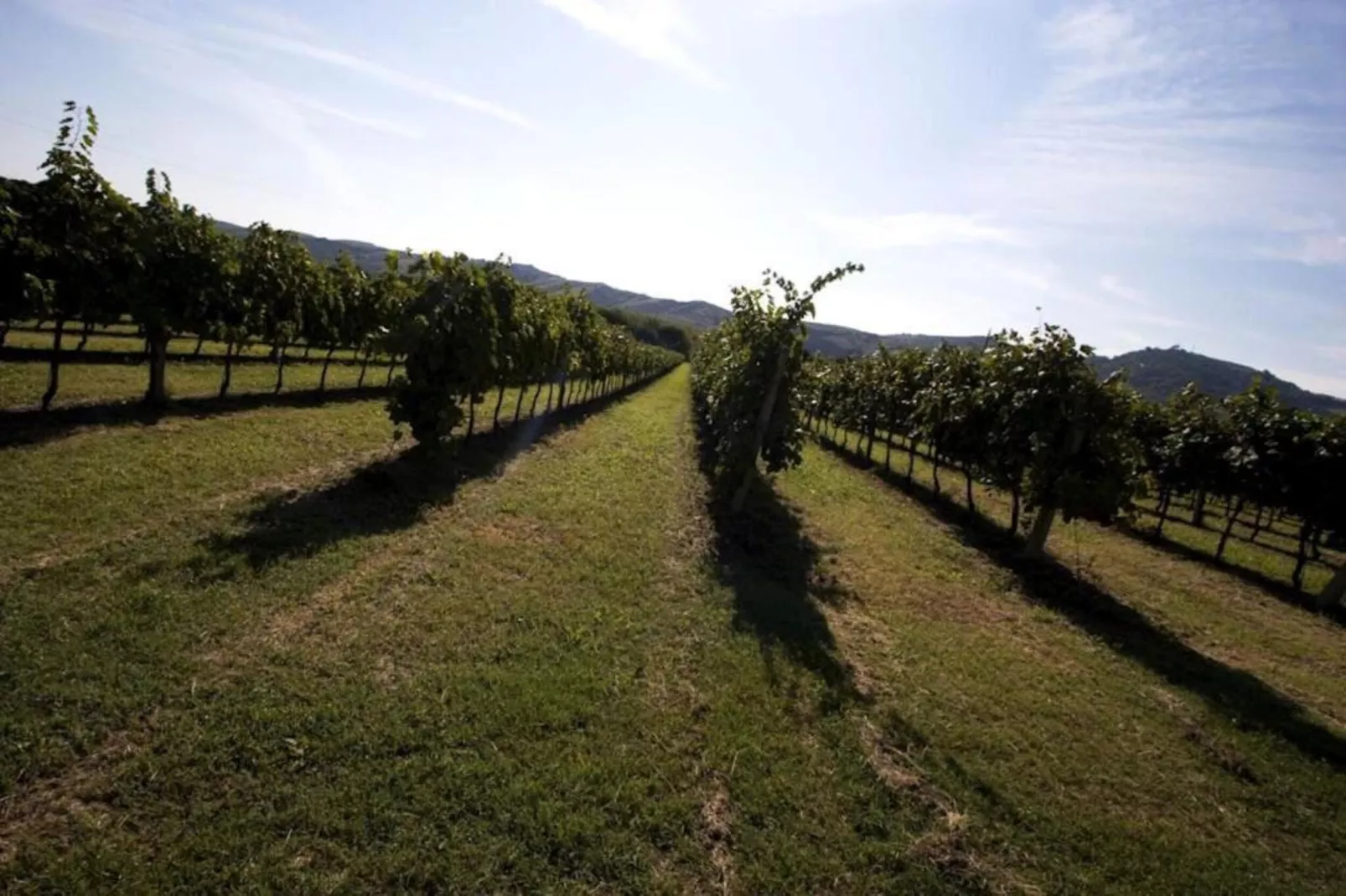 Appartamento Le Colline-Gebiete Sommer 5 km