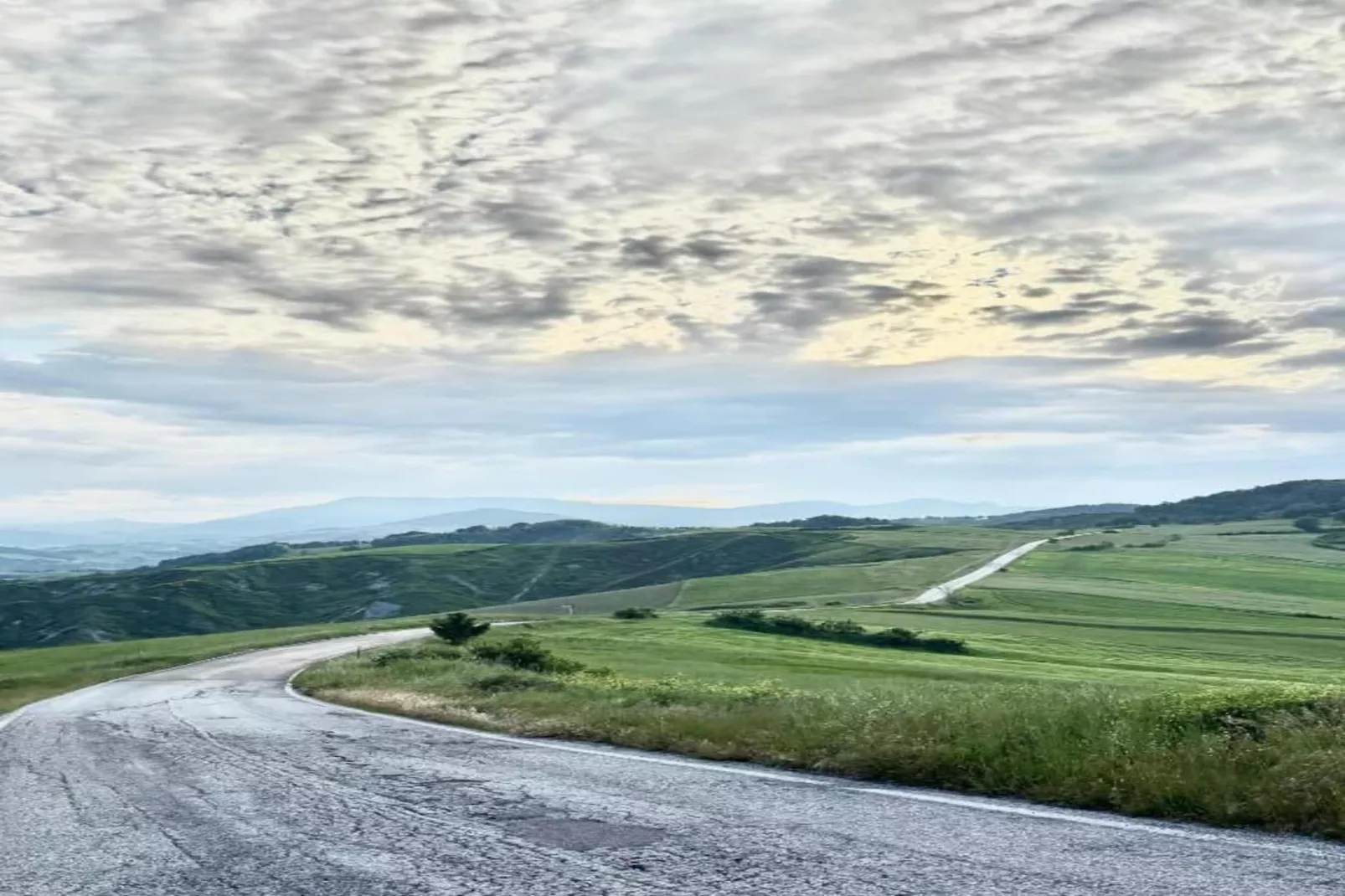 Sandro-Areas within 5km in summer