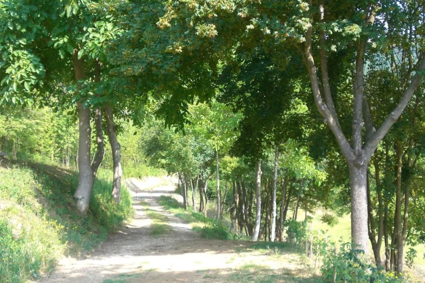 Ovello-Areas within 20km in summer
