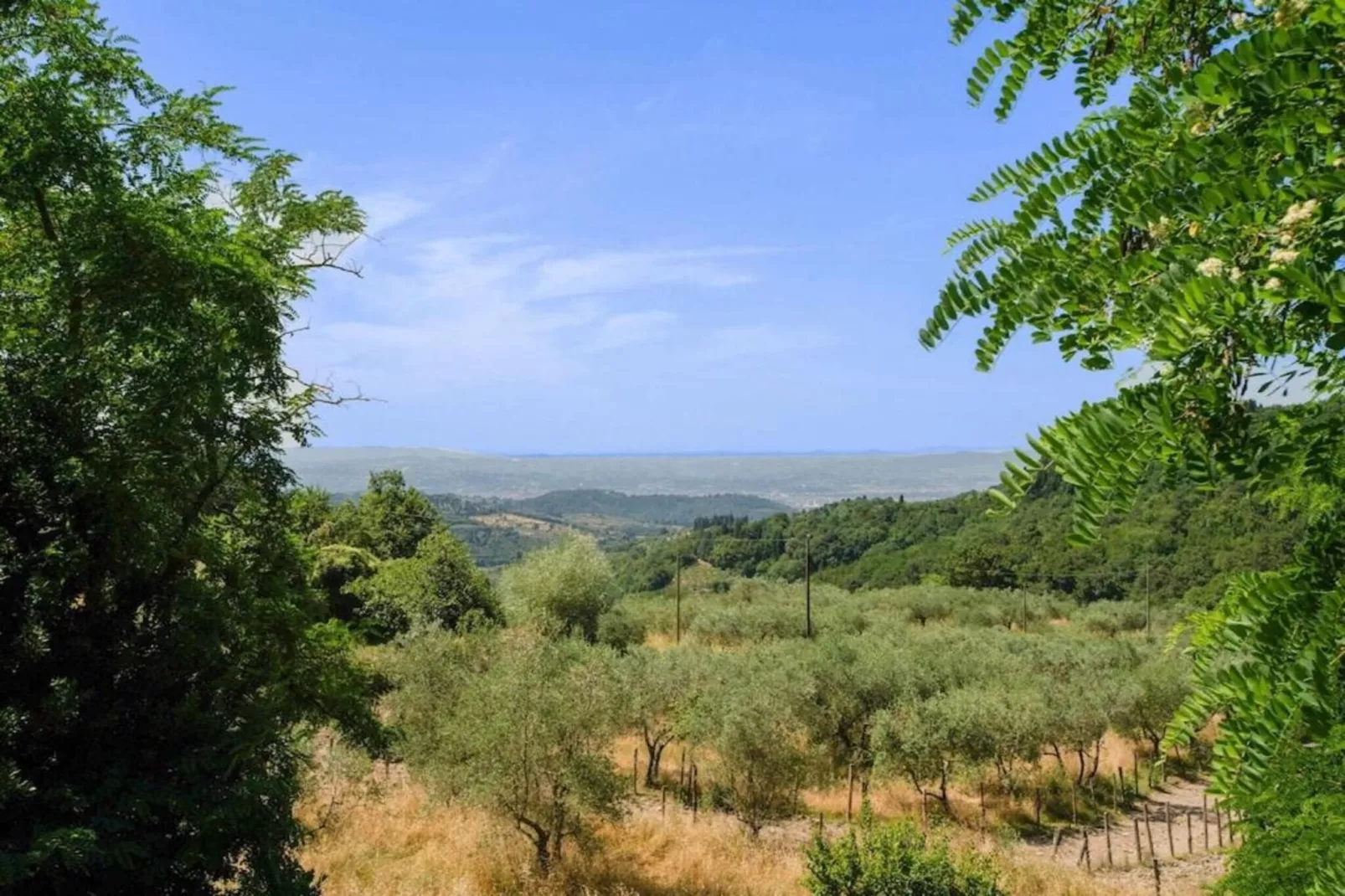 I Tini-Areas within 20km in summer