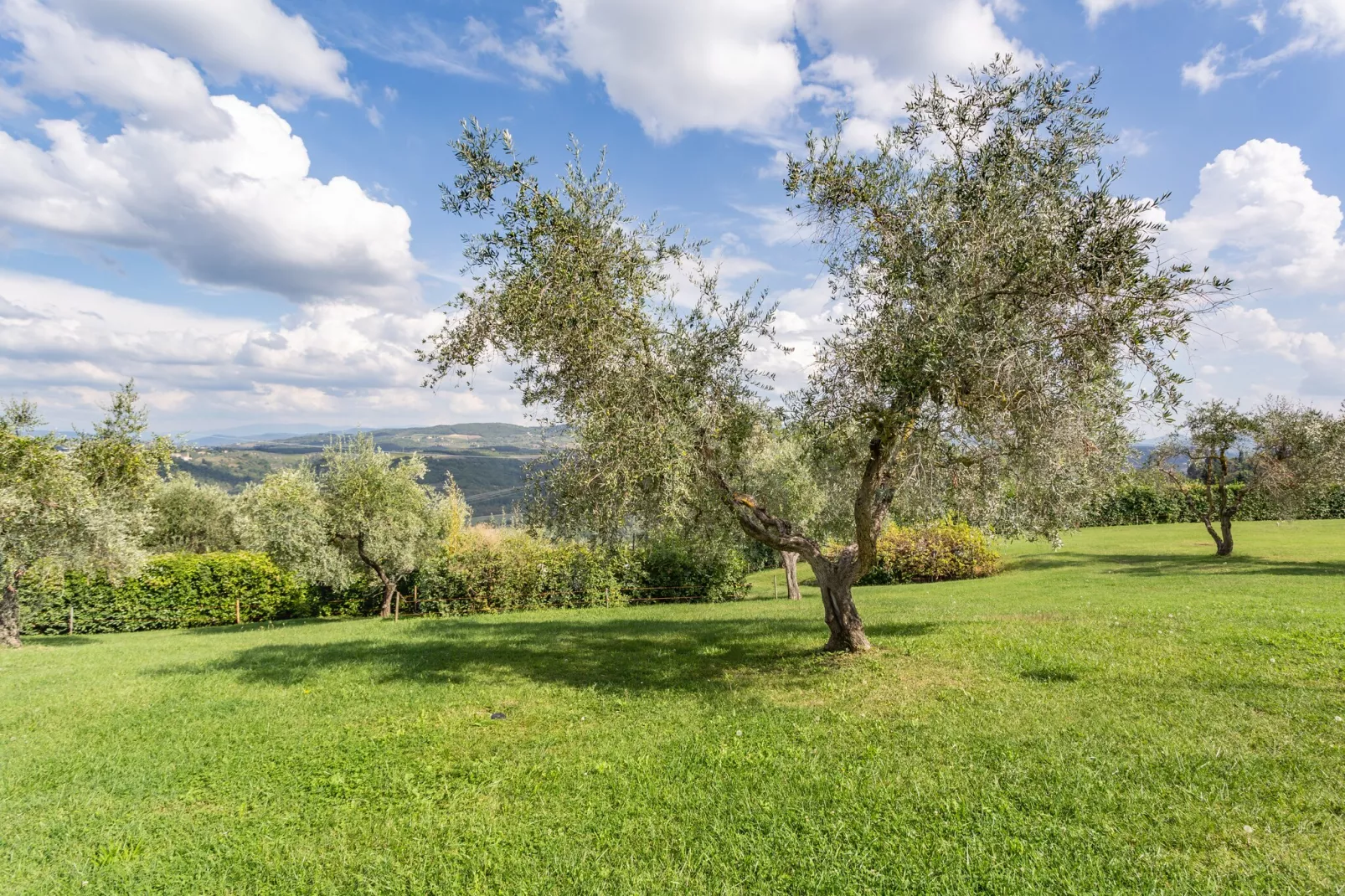 Il Querceto Prima-Gardens in summer
