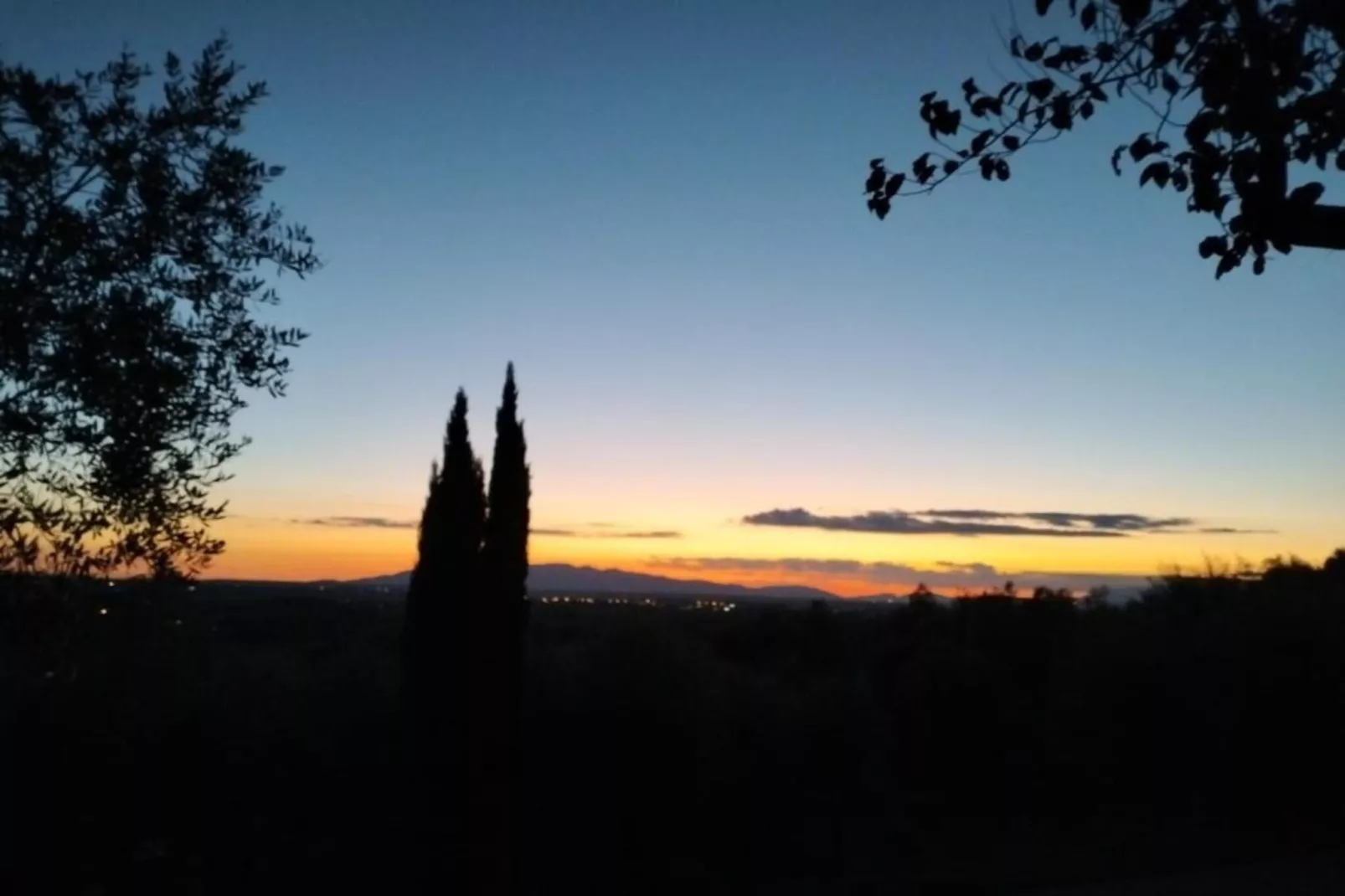 Leonardo-Areas within 5km in summer