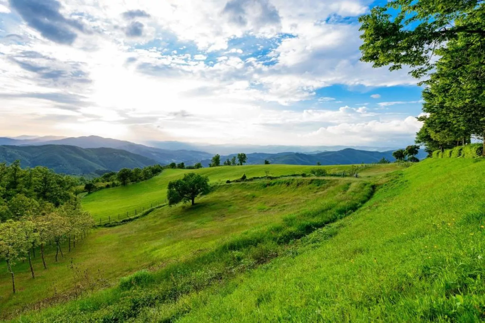 San Godenzo Sagrestia 2-Areas within 20km in summer
