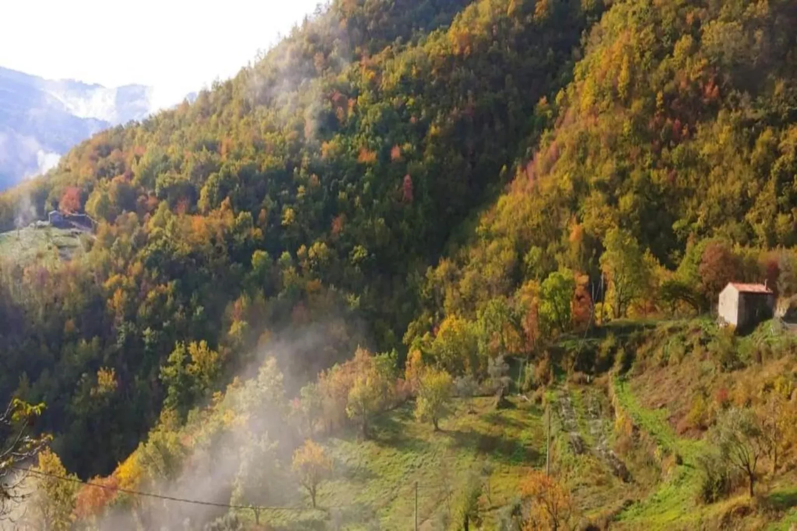 Il Ciliegio-Areas within 20km in summer