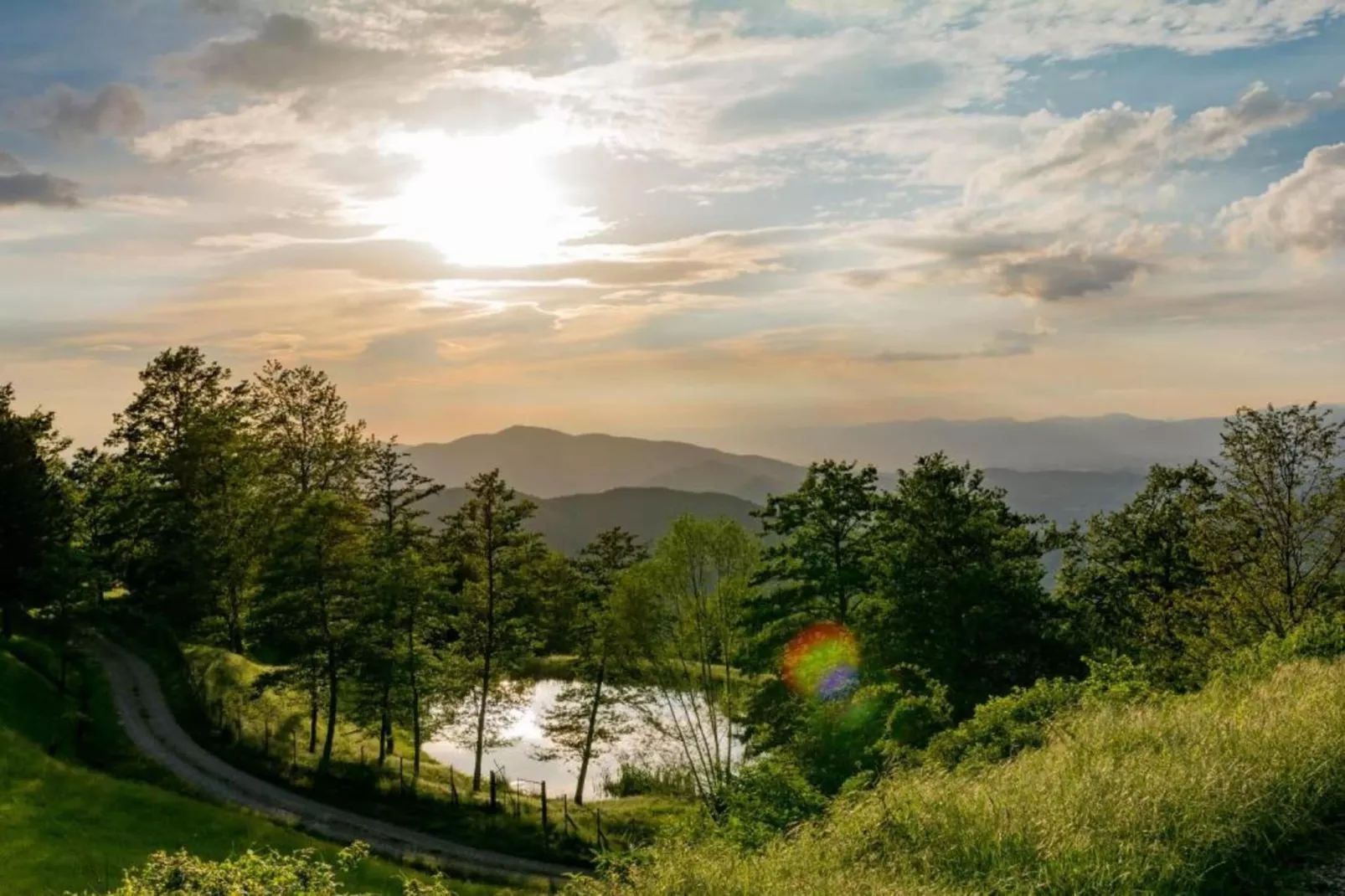 Giotto-Areas within 20km in summer
