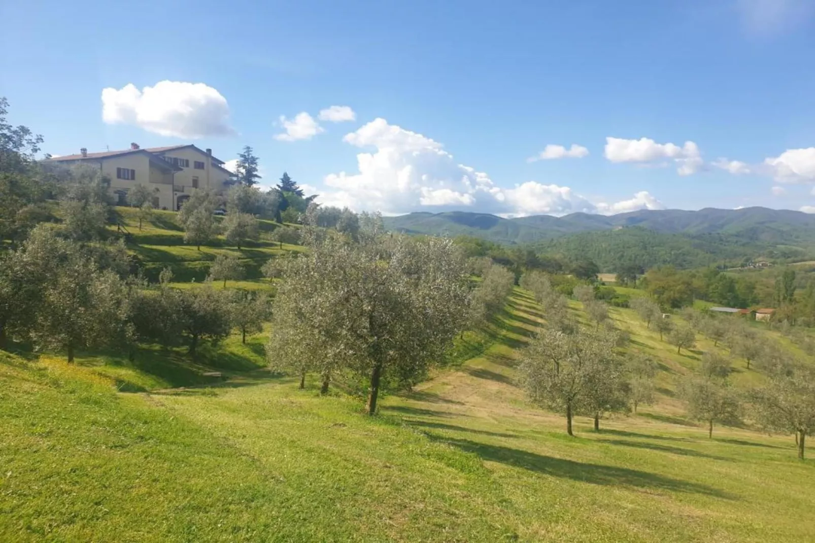 Country Resort Il Frassine-Gebiete Sommer 20 km