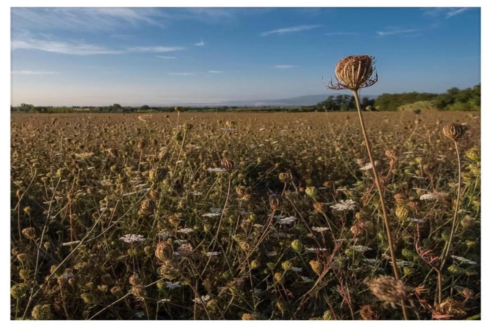 Saliceto Bilocale-Areas within 5km in summer