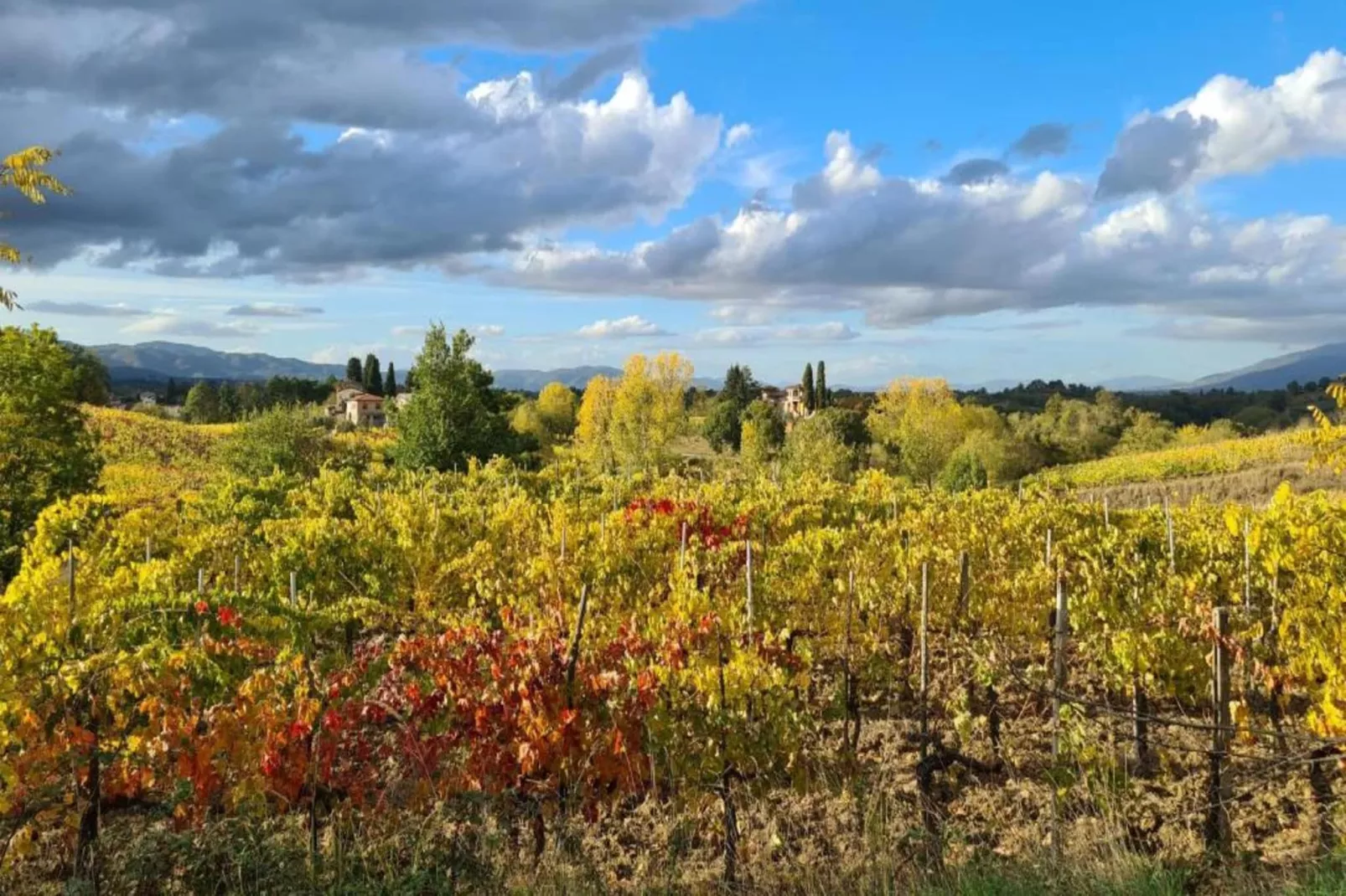 San Martino-Zones été à 5 km