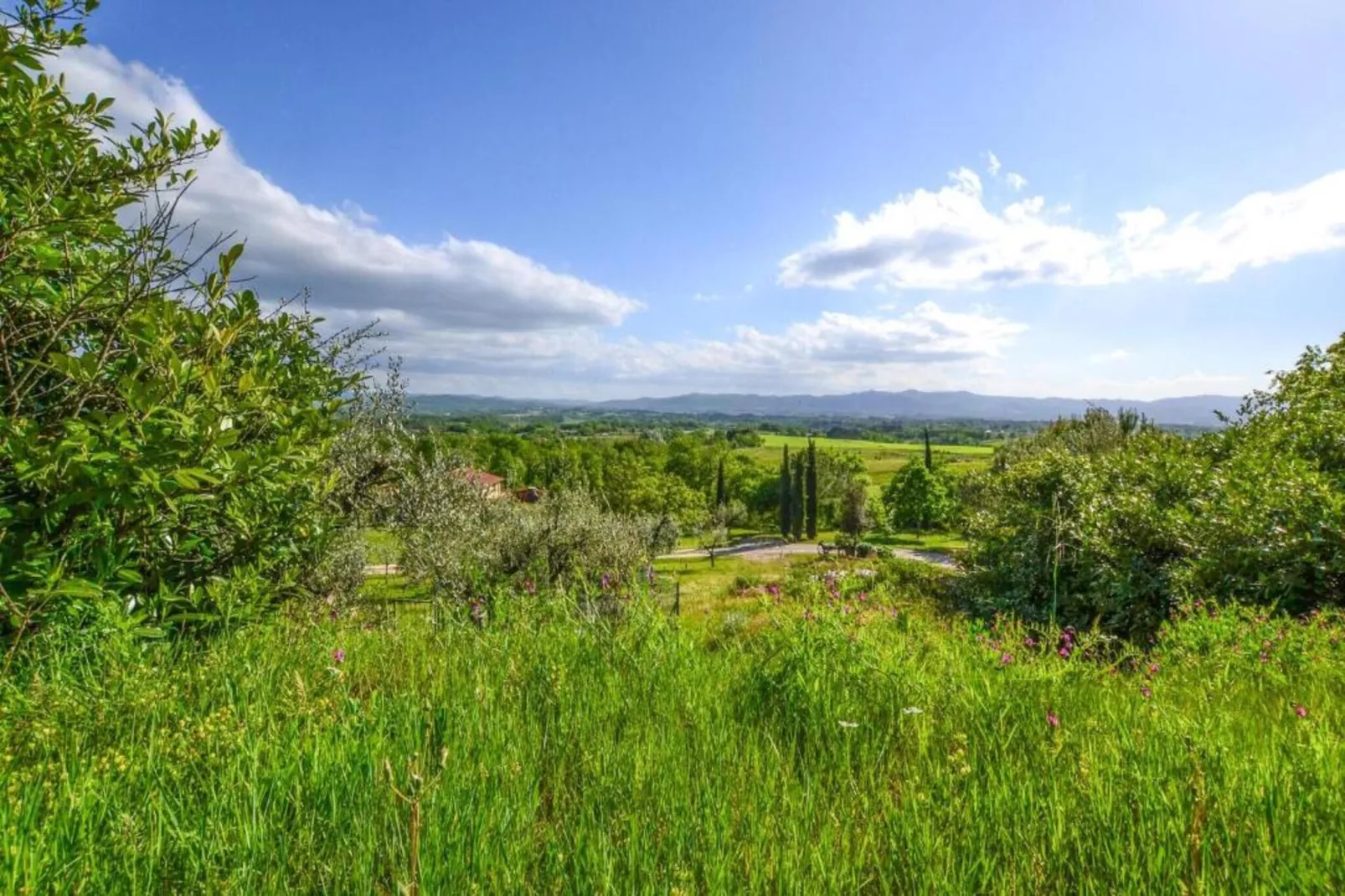 Podere Pulicciano Orciaia-Areas within 5km in summer