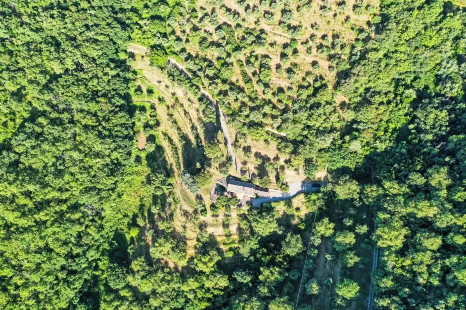 Camillo-Areas within 20km in summer
