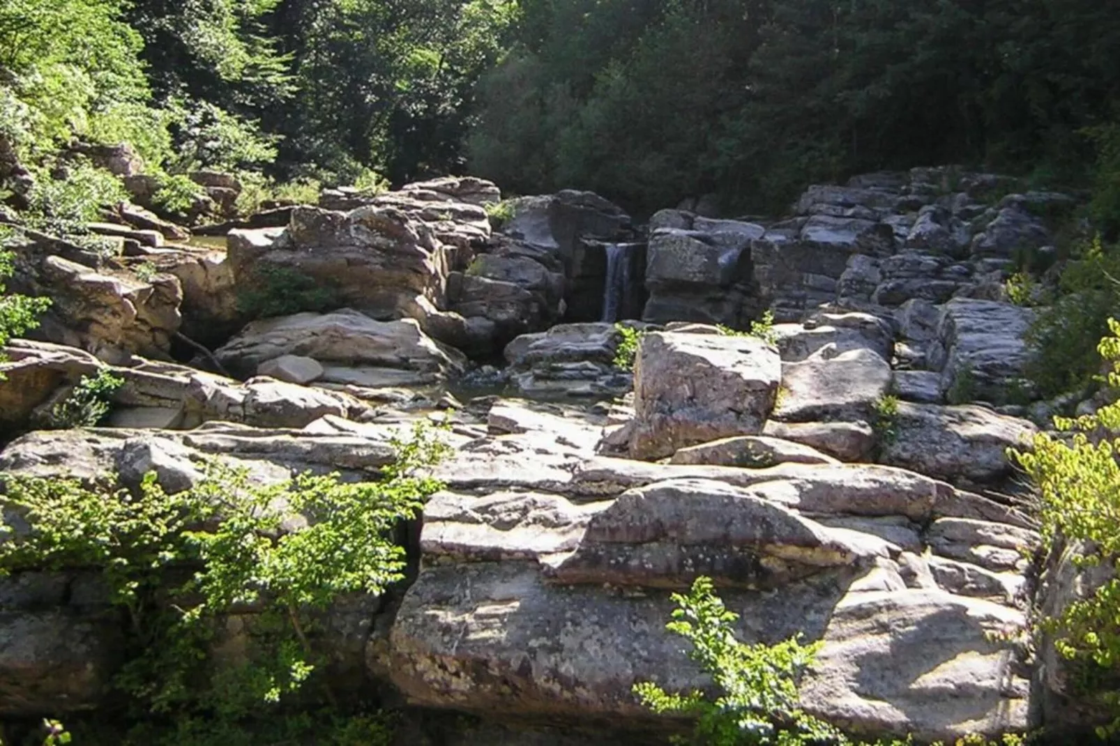 Ginestra1-Areas within 20km in summer