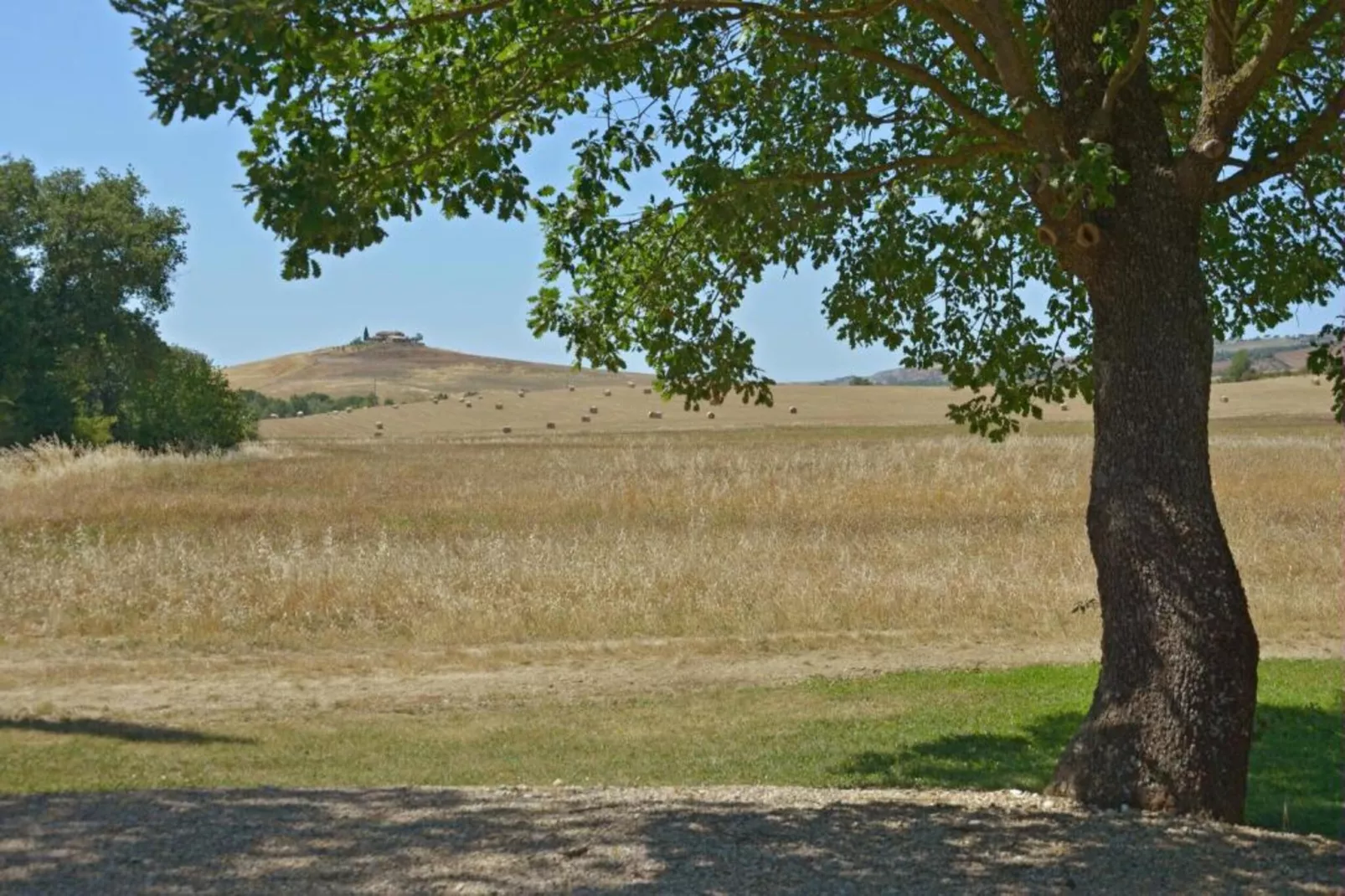 Tarugi-Gebiete Sommer 5 km