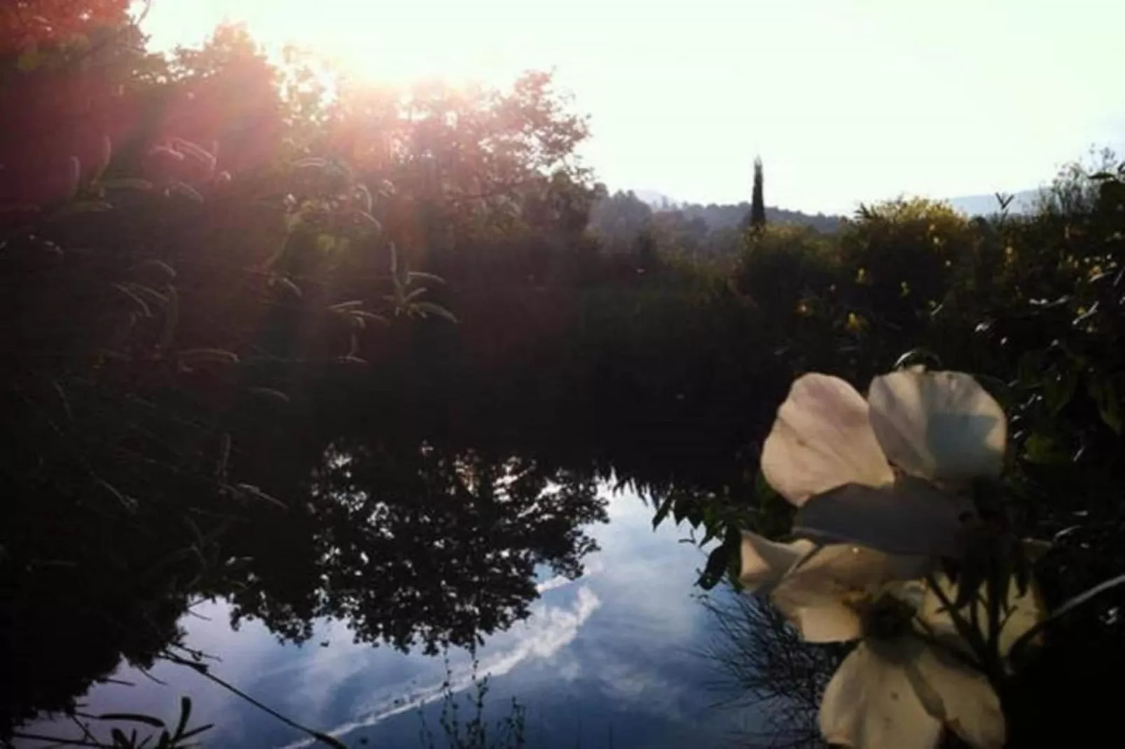 Villino Uno-Areas within 20km in summer