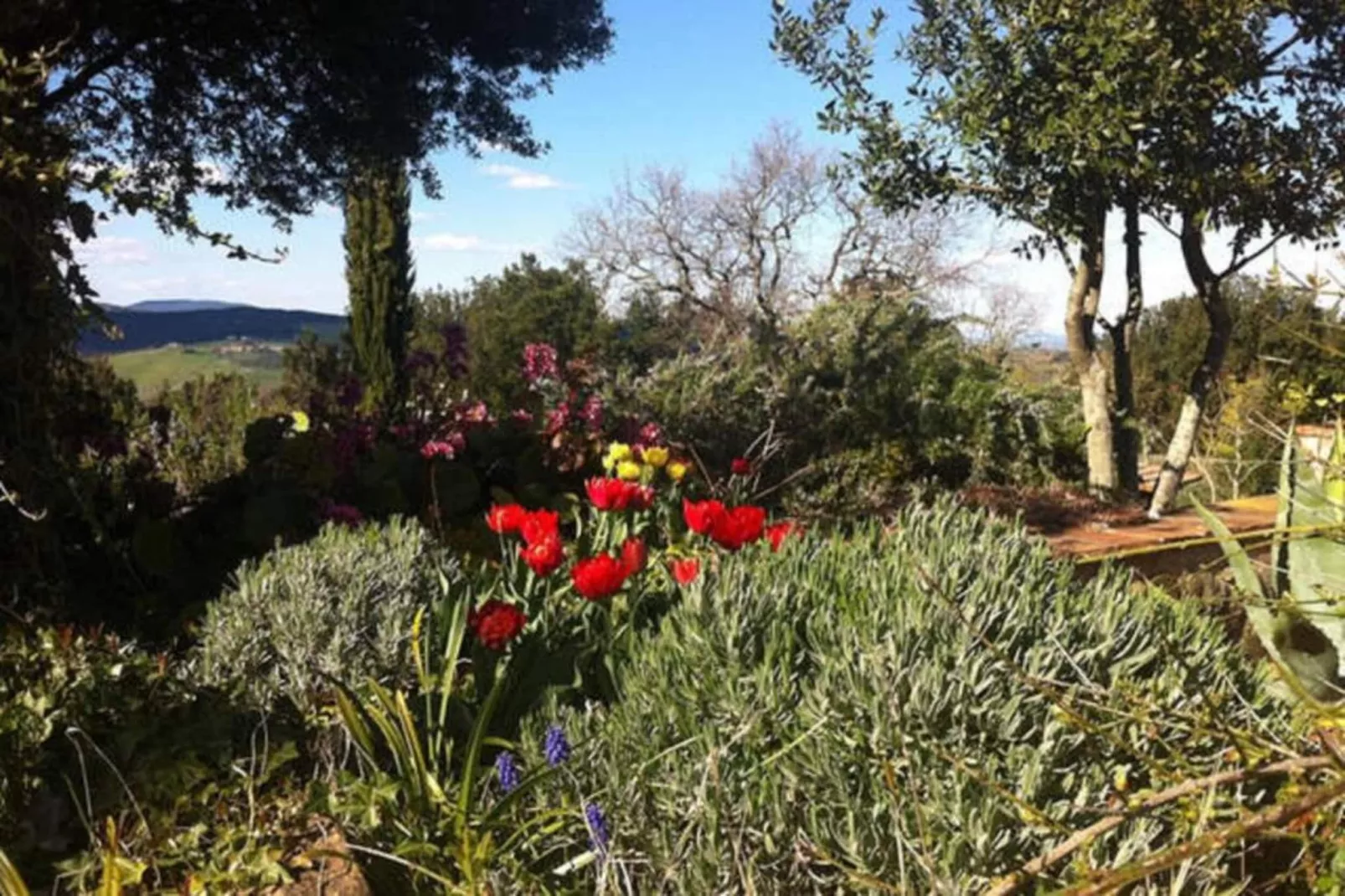 Villino Tre-Gebiete Sommer 20 km