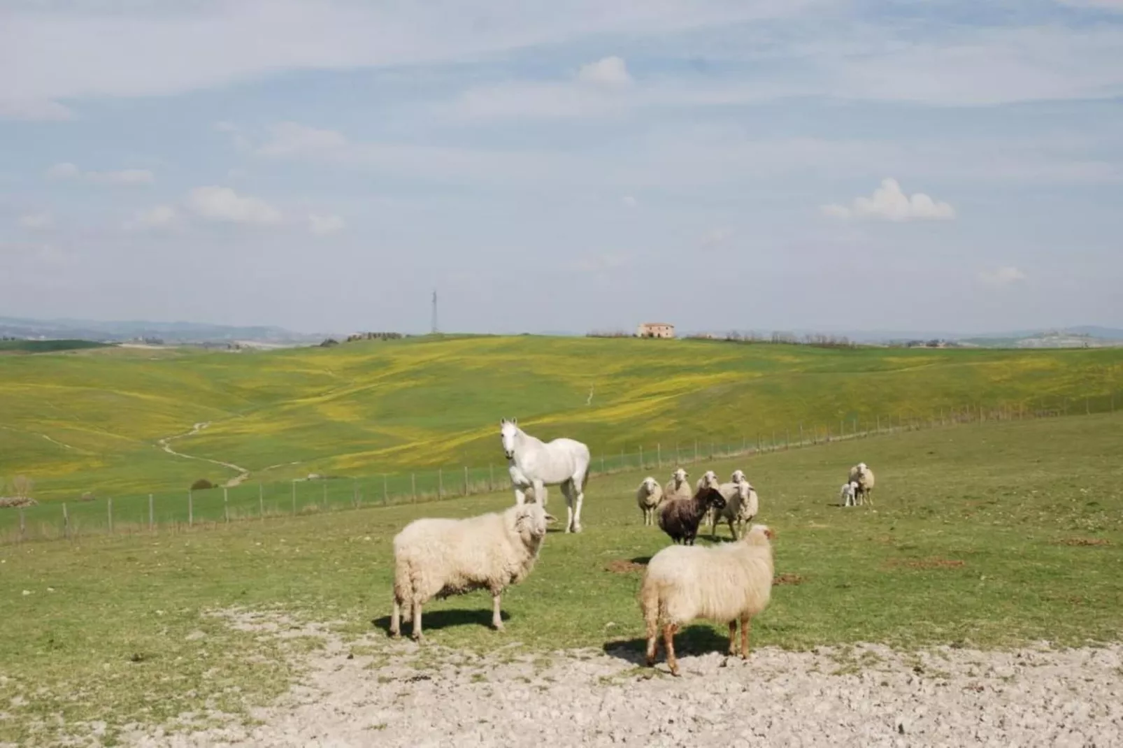Capanna-Areas within 5km in summer