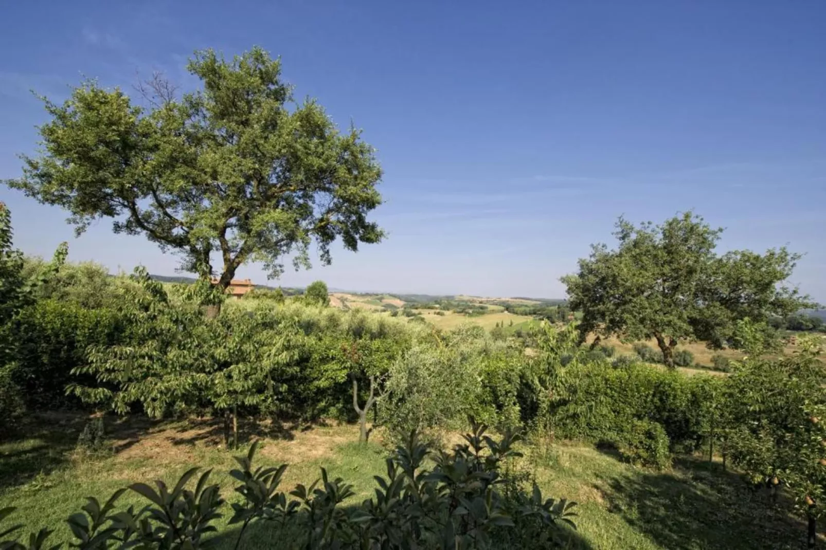 La Logetta-Areas within 5km in summer