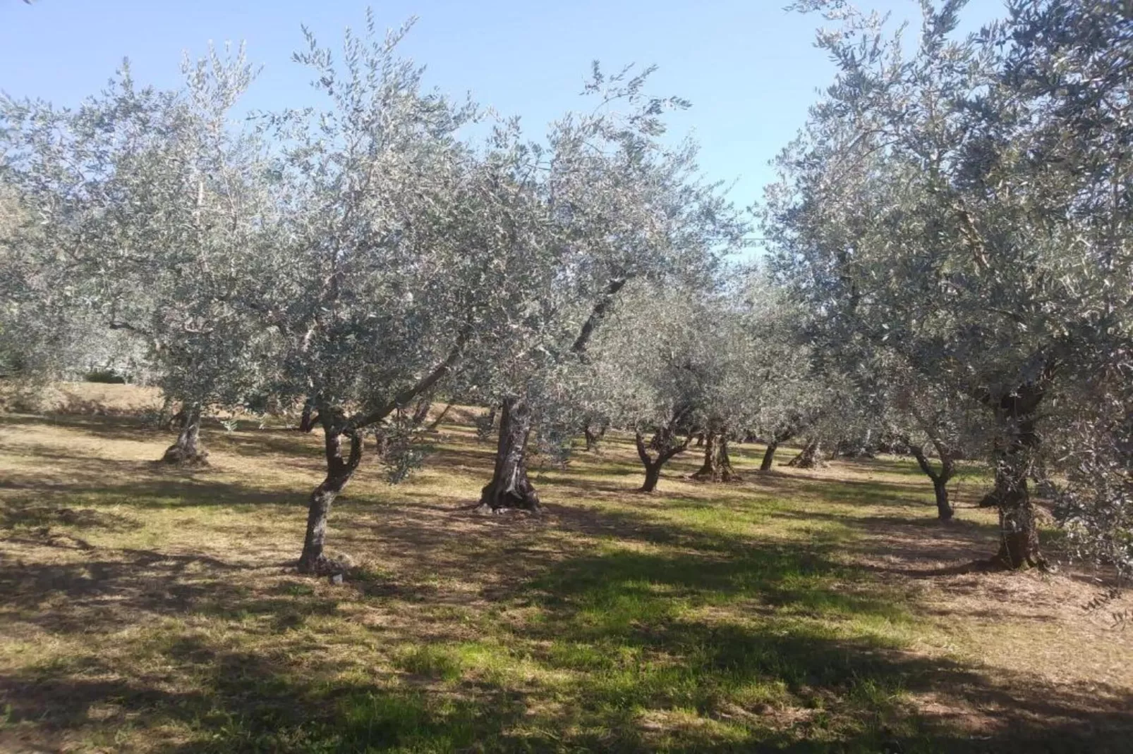Collina Lagomare-Areas within 20km in summer
