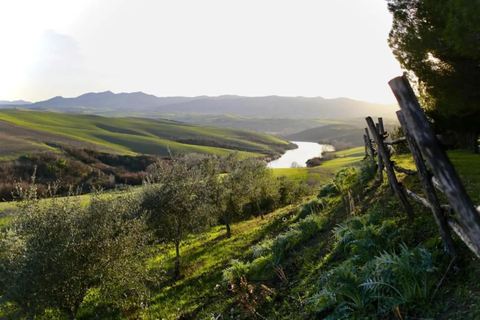 Villa Alice-Areas within 5km in summer