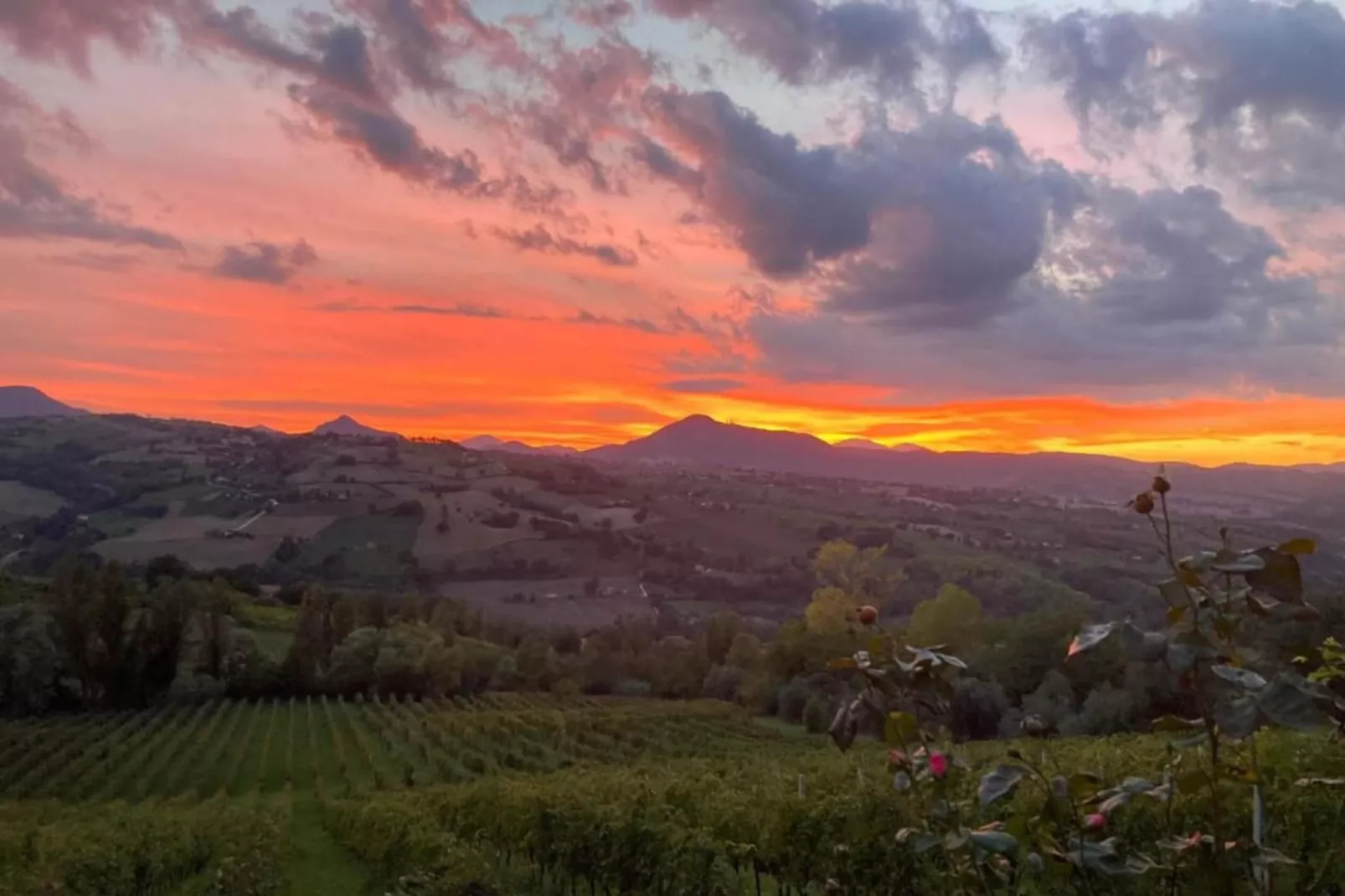 Borgo Quattro-Areas within 20km in summer