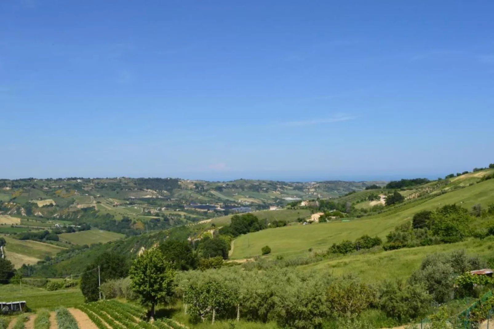 Peperoncino-Gebiete Sommer 5 km