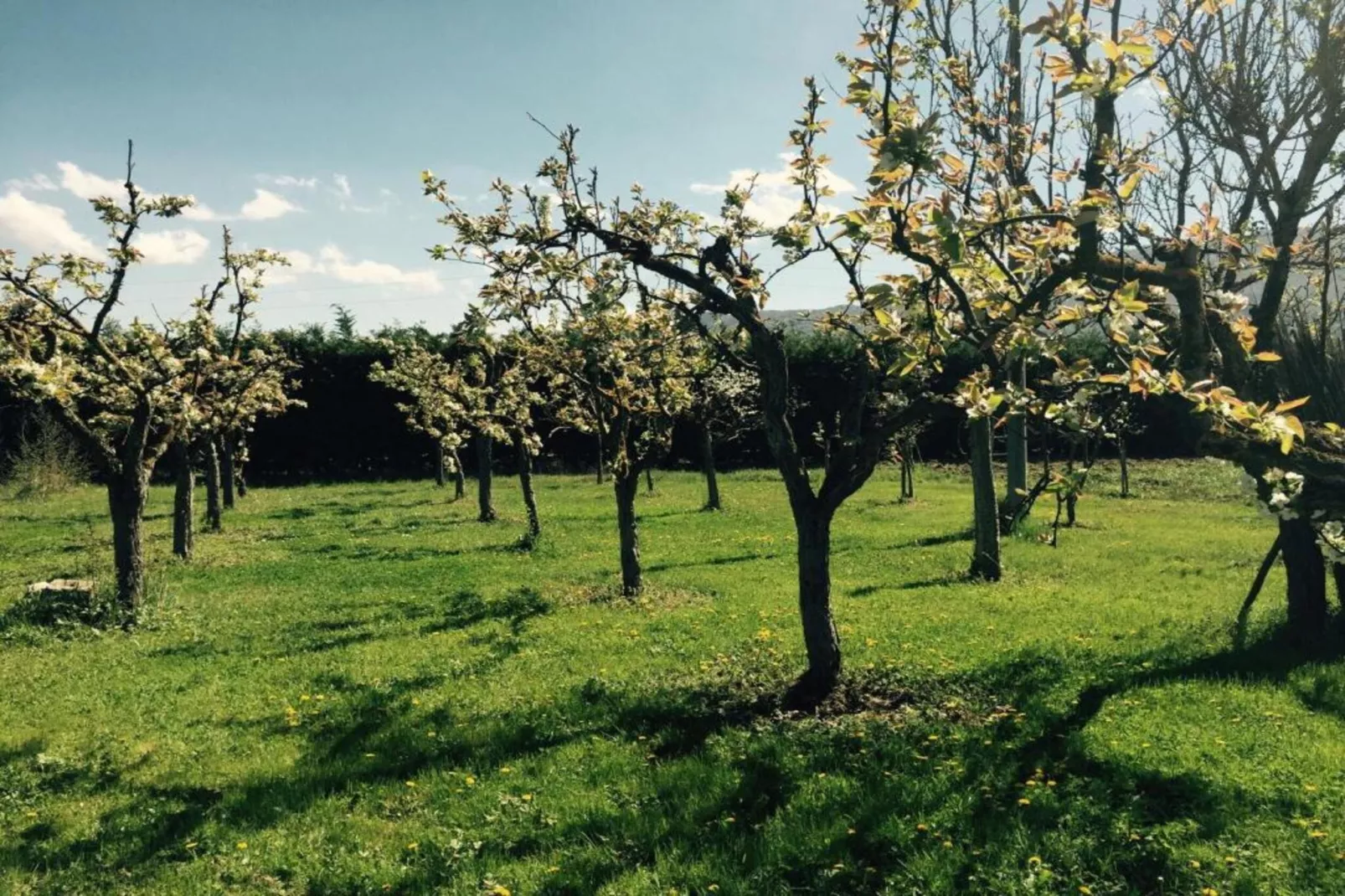 Appartamento in Villa con Giardino e Piscina-Gebiete Sommer 20 km