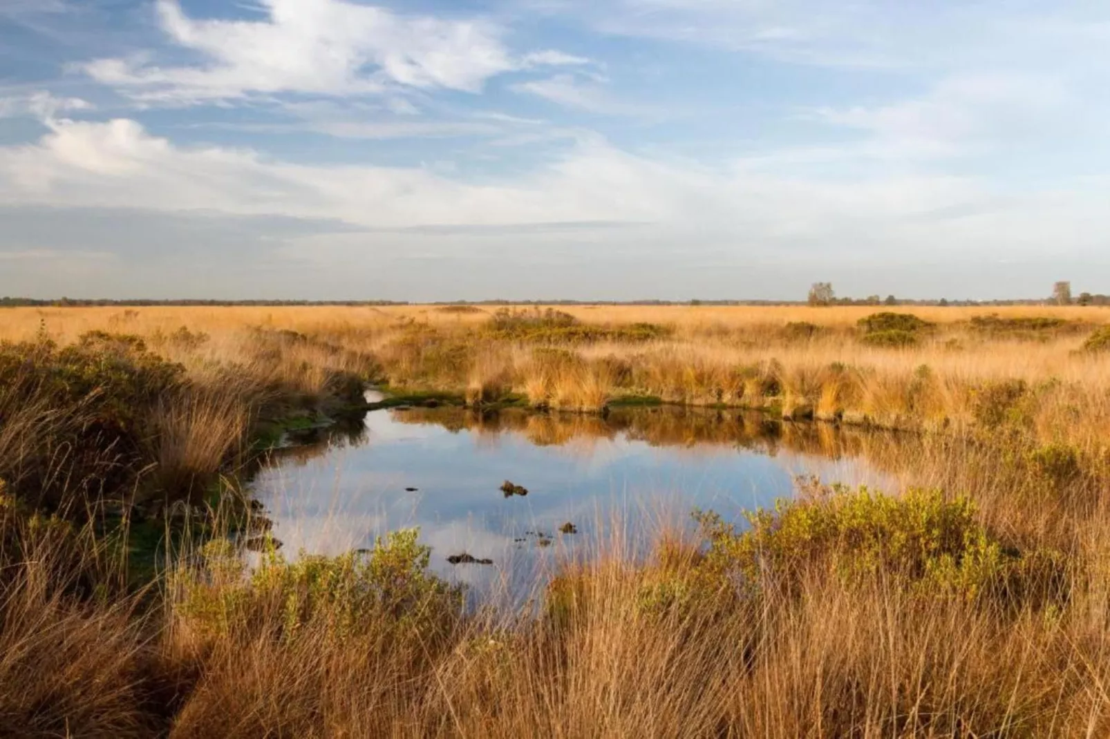 Tuinpad-Areas within 20km in summer