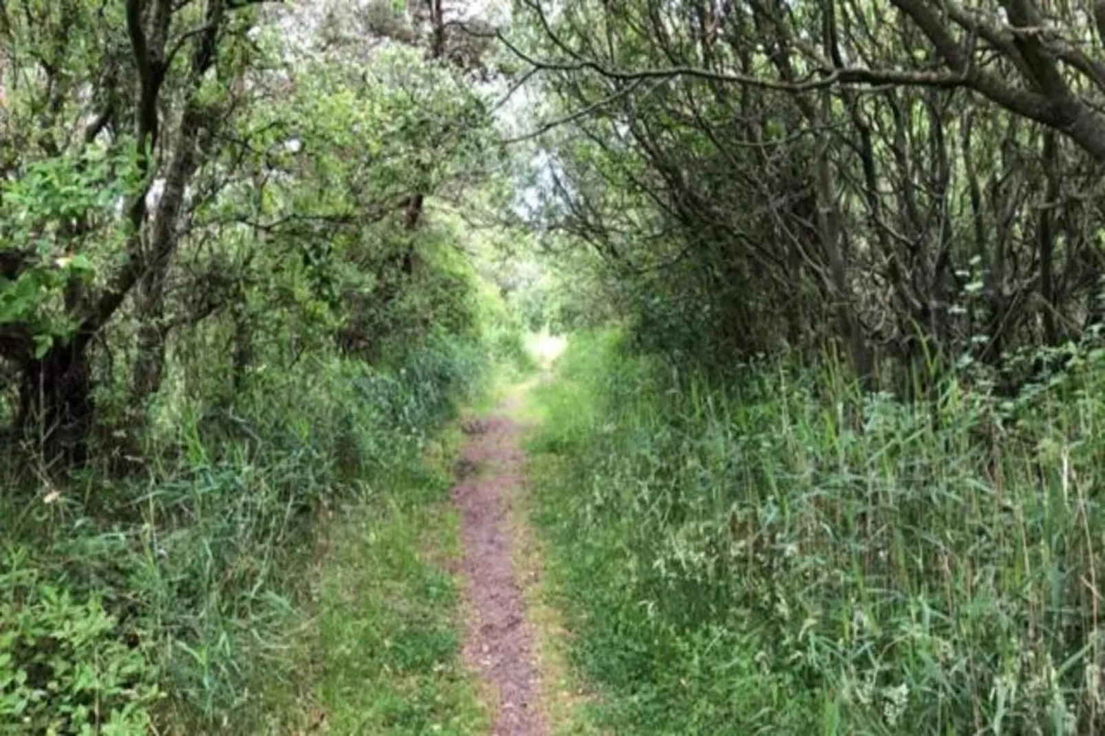 Duindroom op Terschelling-Areas within 20km in summer