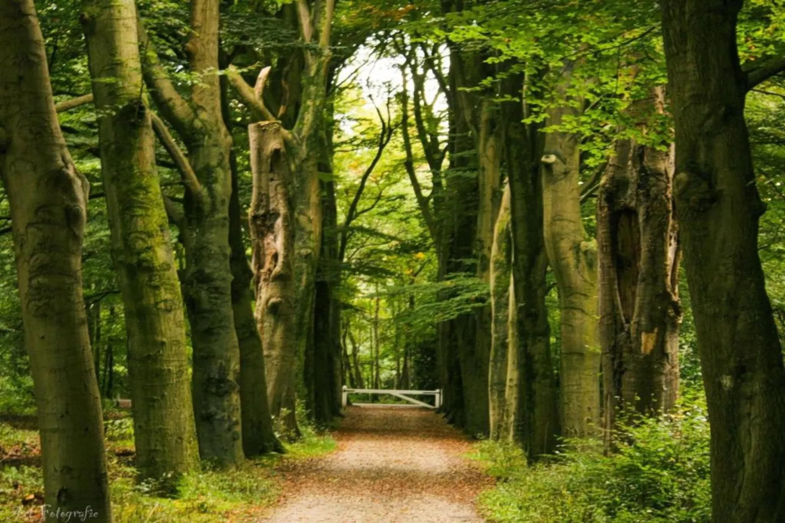Kukeluusje-Gebiete Sommer 20 km