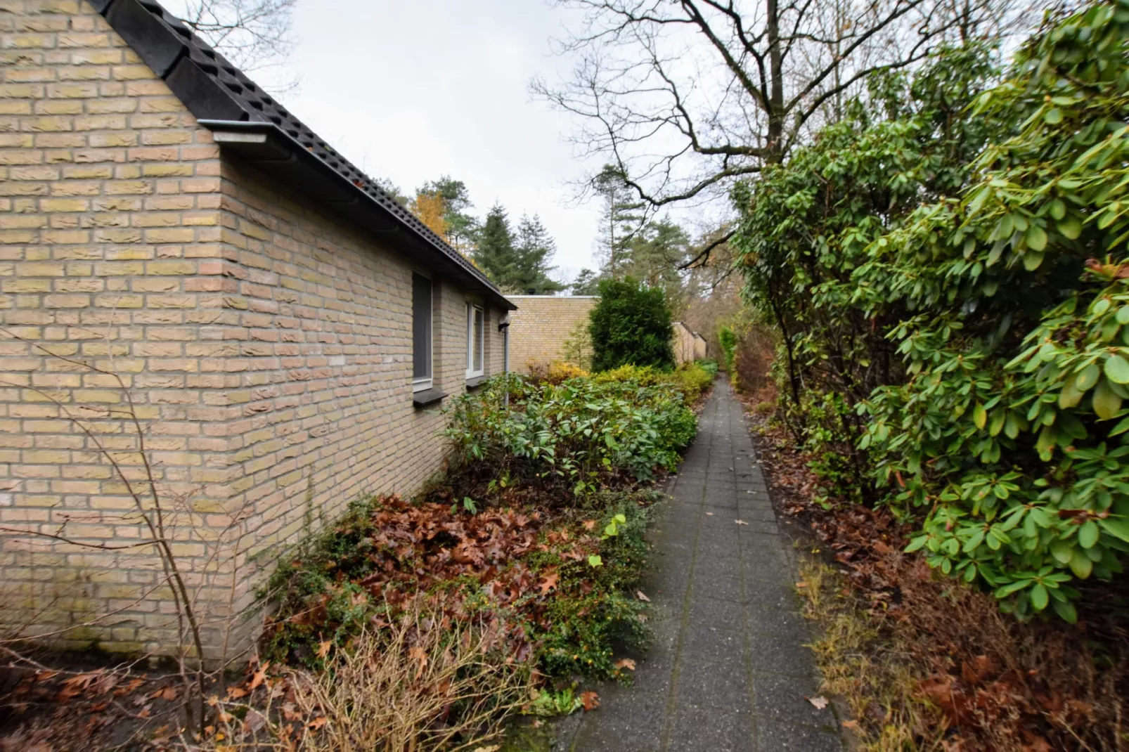 Bungalow Bosrijk-Exterior in summer