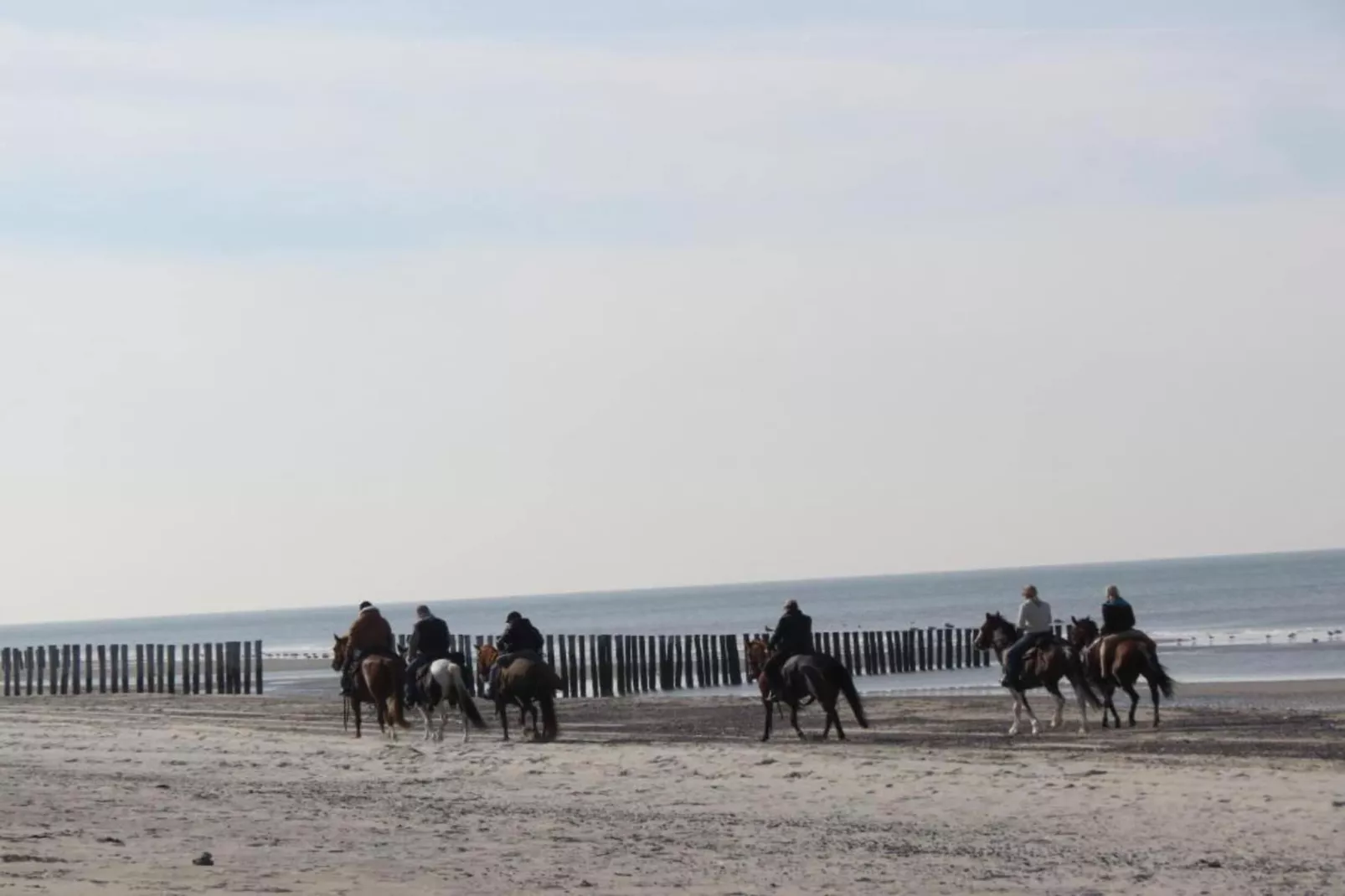 Jan van Renesseweg 1 - 2 pax-Areas within 20km in summer