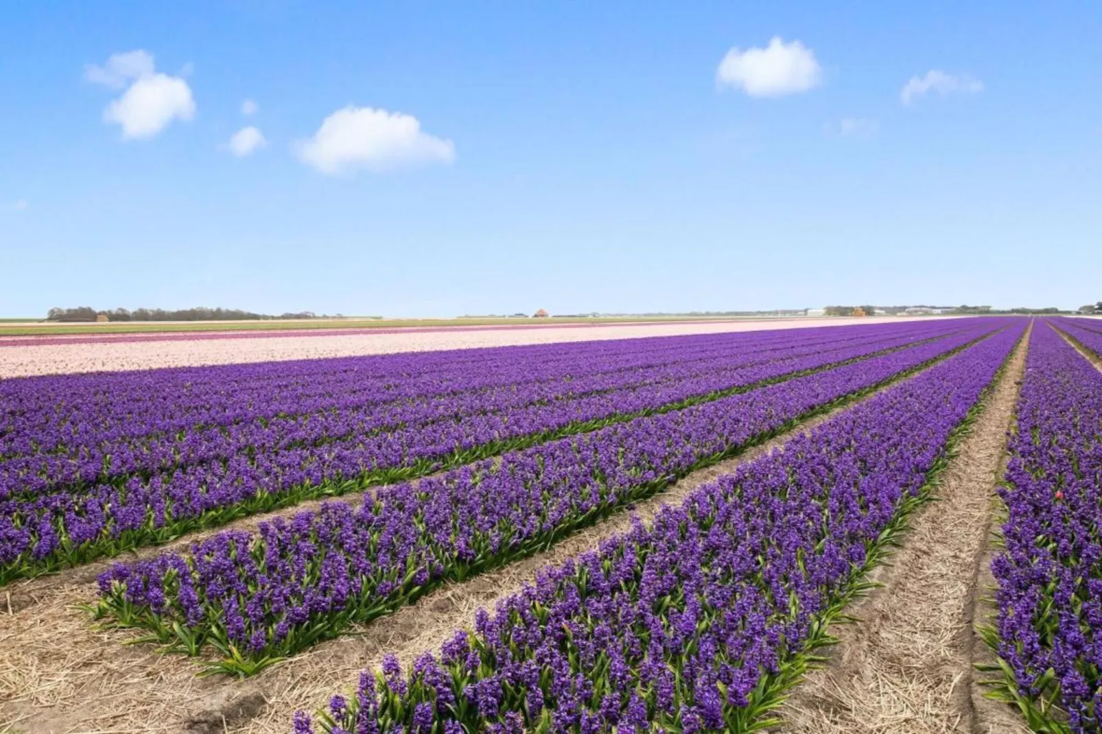 Vakantiehuis De Weide Blick-Gebiete Sommer 5 km