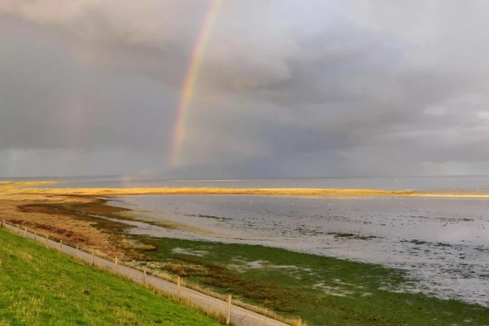 Kustpark Texel 3-Gebiete Sommer 20 km