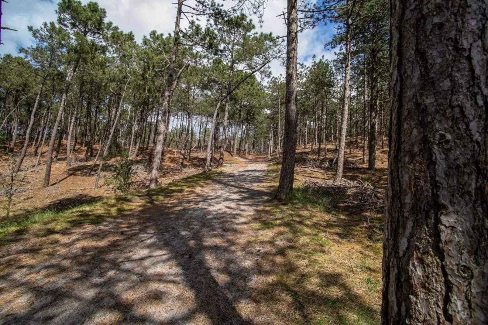 De Beukelaar 2pers-Areas within 20km in summer
