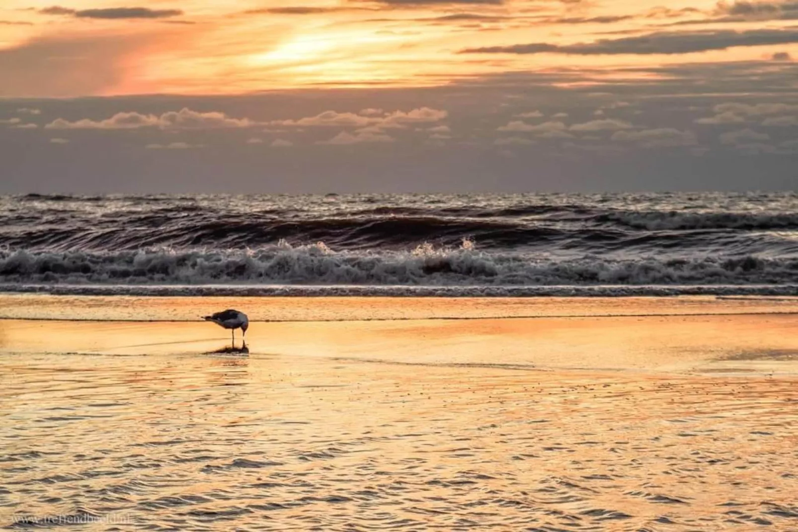 Beaudune-Areas within 20km in summer