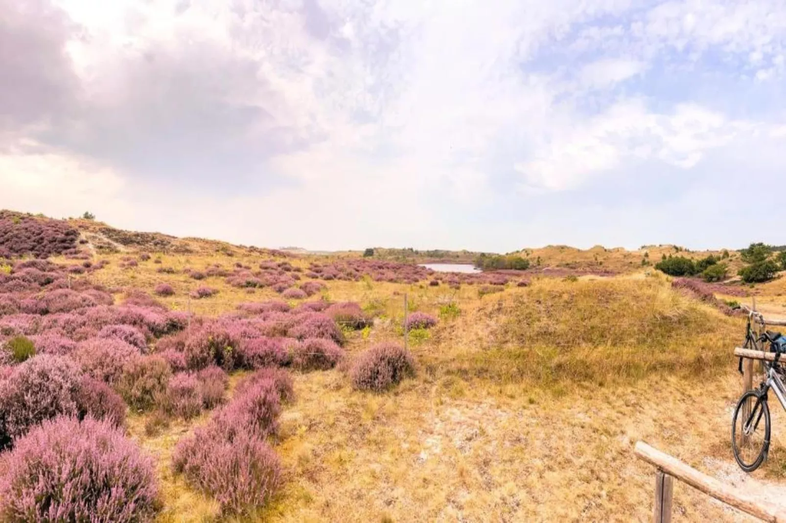 De Strandvogel-Areas within 20km in summer