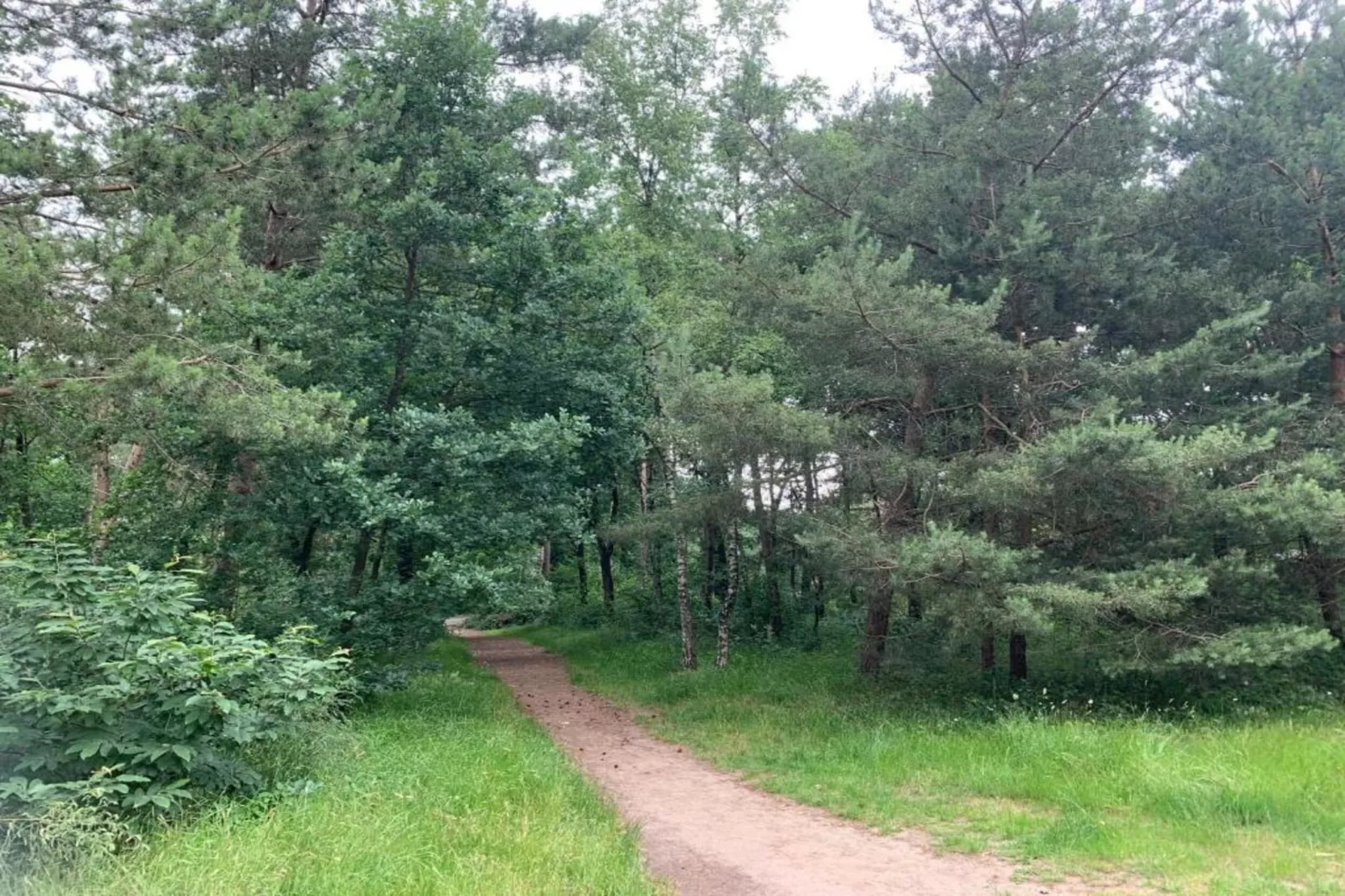 De Veluwse Hoevegaerde 1-Areas within 5km in summer