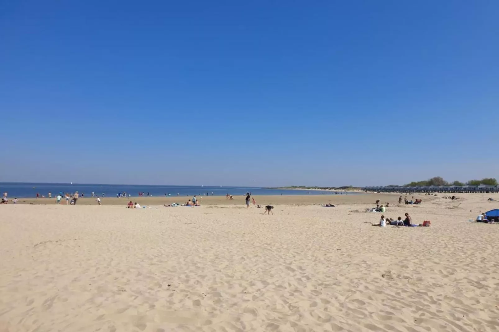 De Zeeuwse Schuur - comfort 4 personen 1 huisdier-Gebiete Sommer 20 km