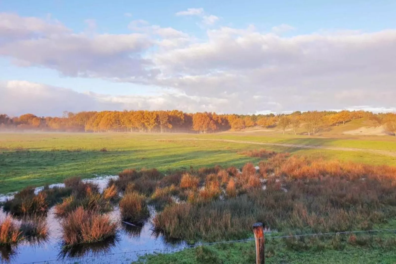 Vakantiepark Hof Domburg 23-Areas within 20km in summer