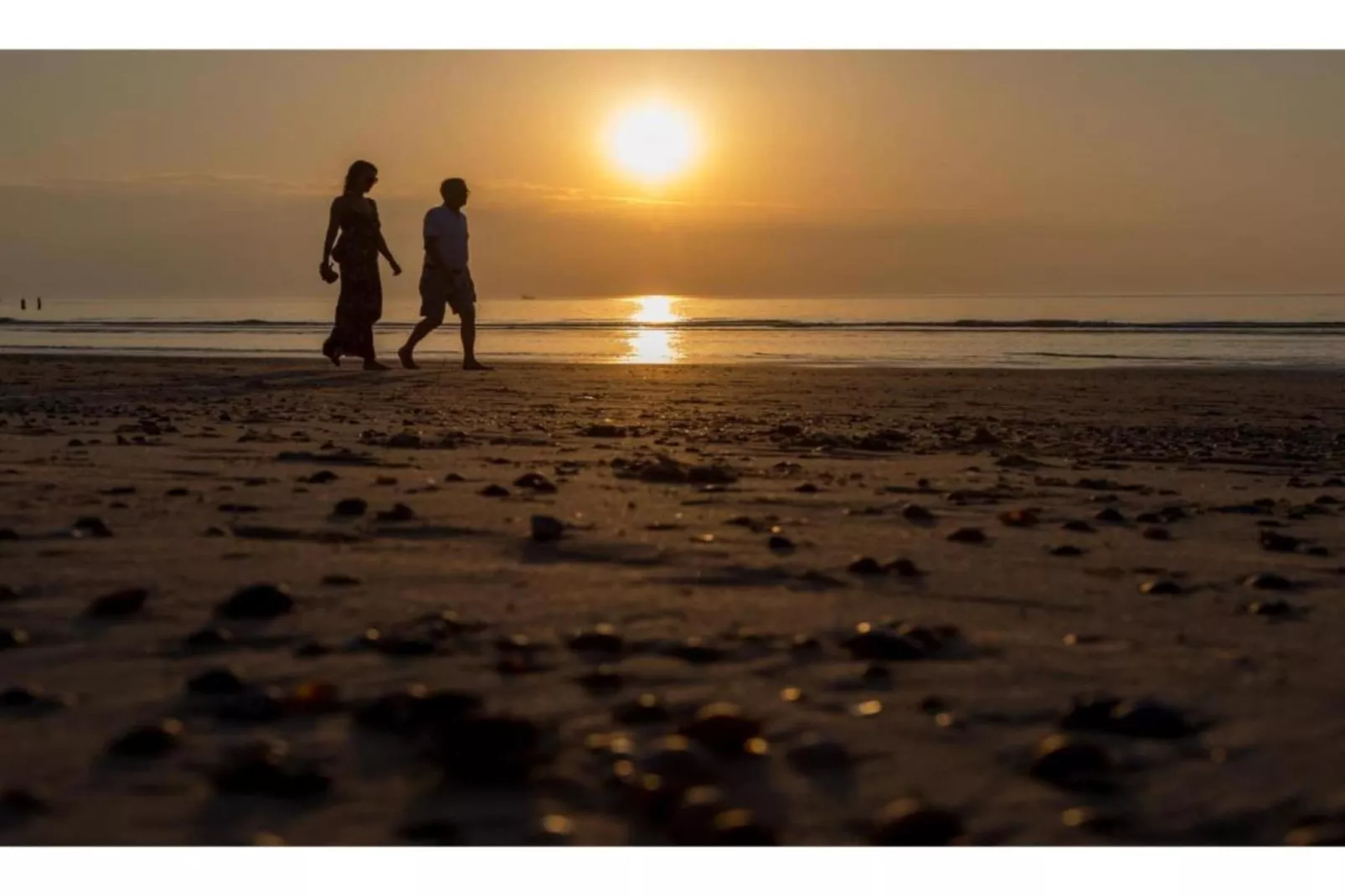 Vakantiepark Hof Domburg 24-Gebiete Sommer 20 km
