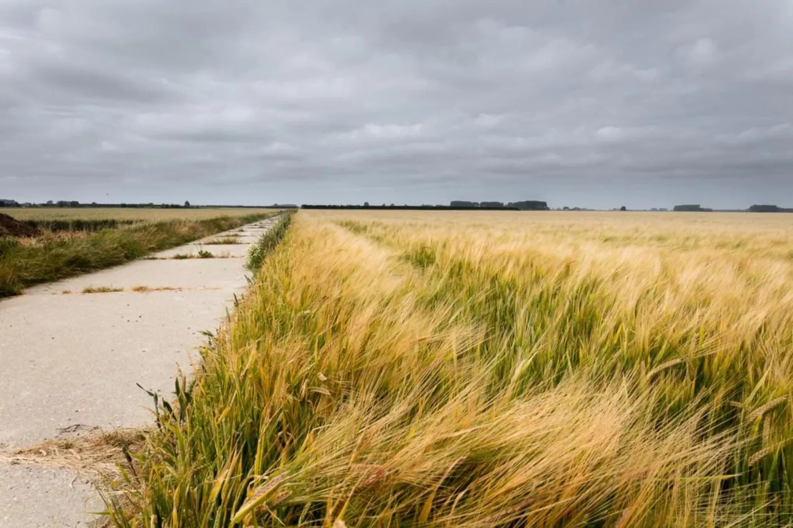 De Biezenpolder 't Groothuus-Areas within 20km in summer